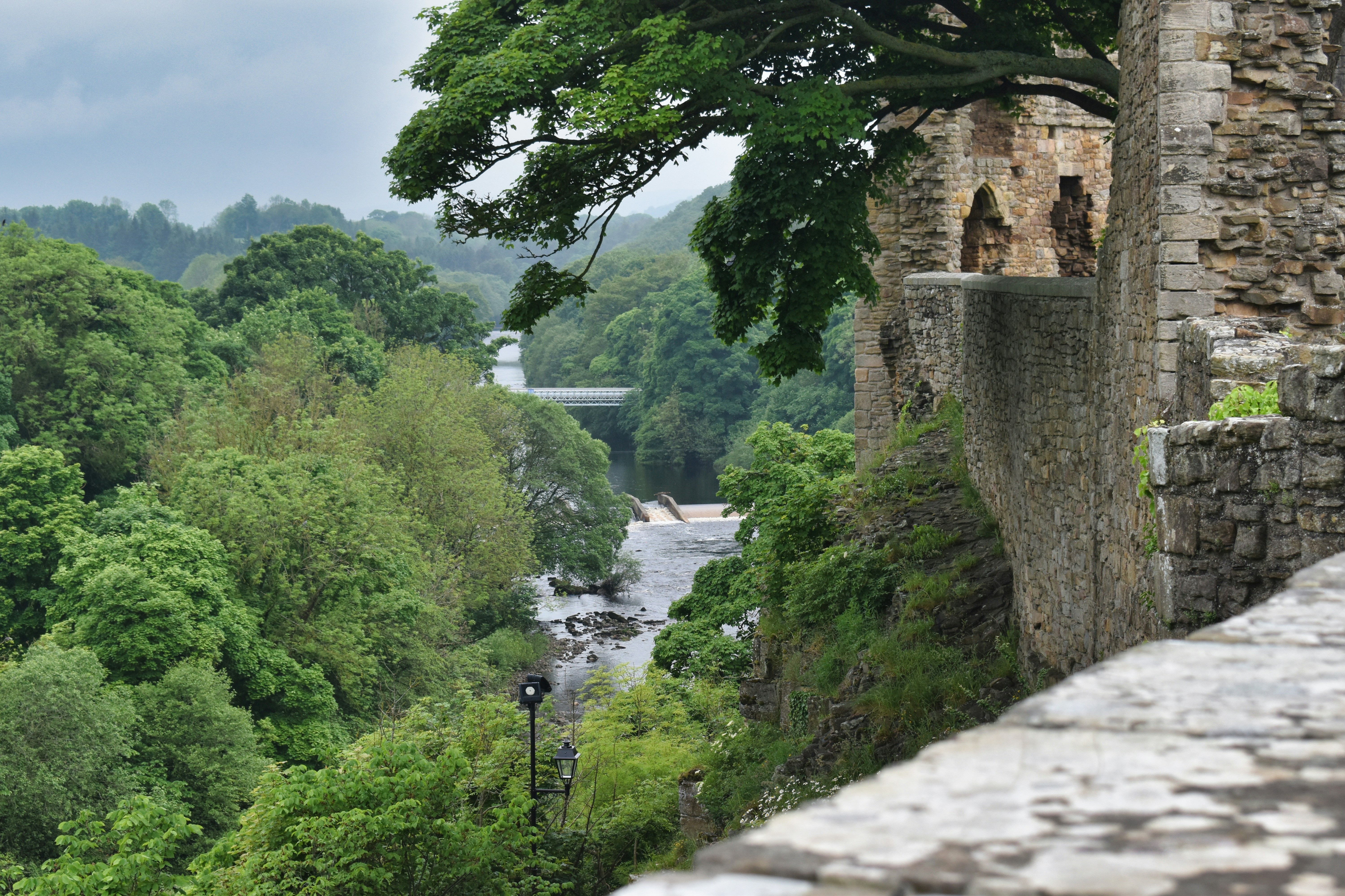 Photo by andrew_hall