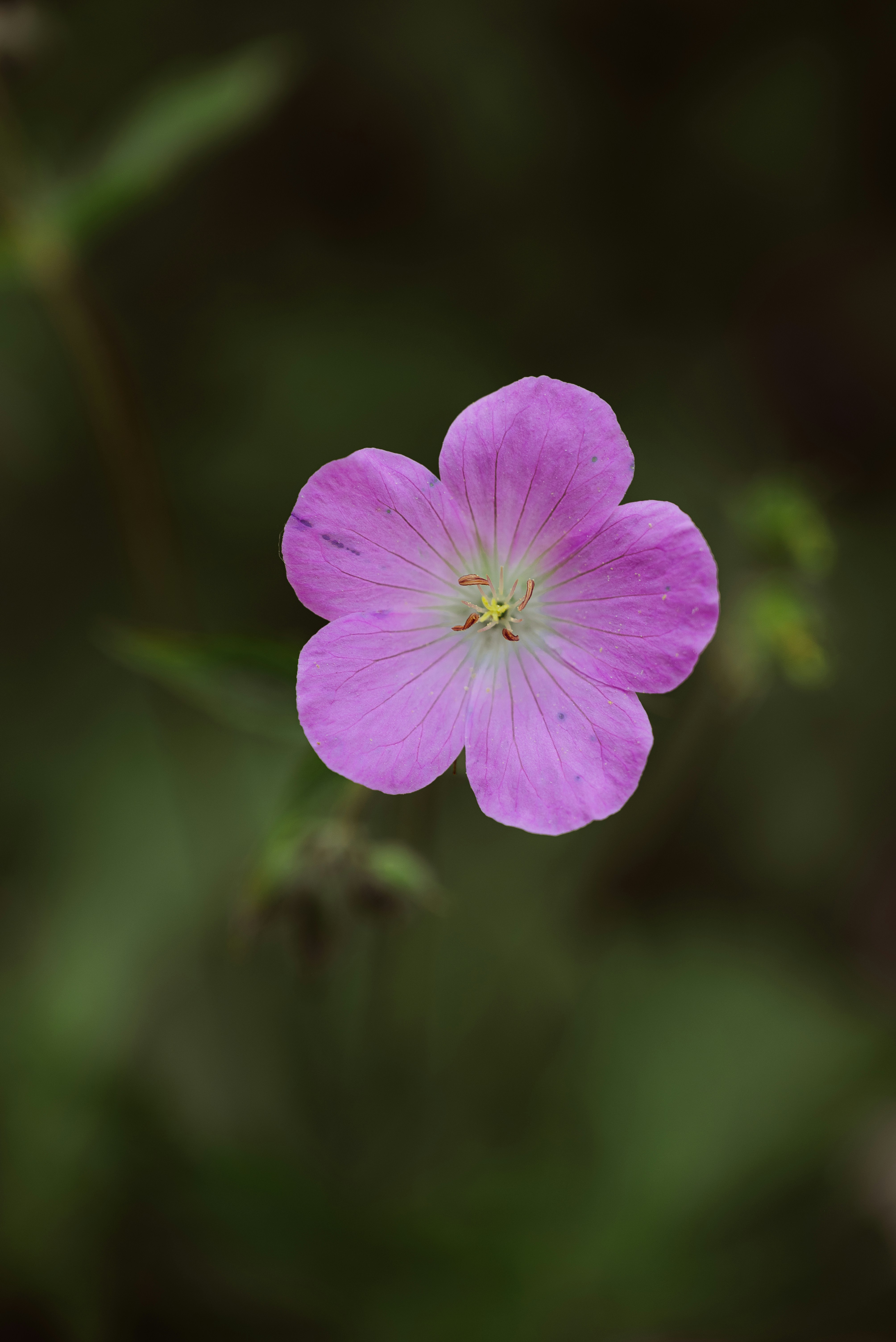 Photo by jetztabertempo