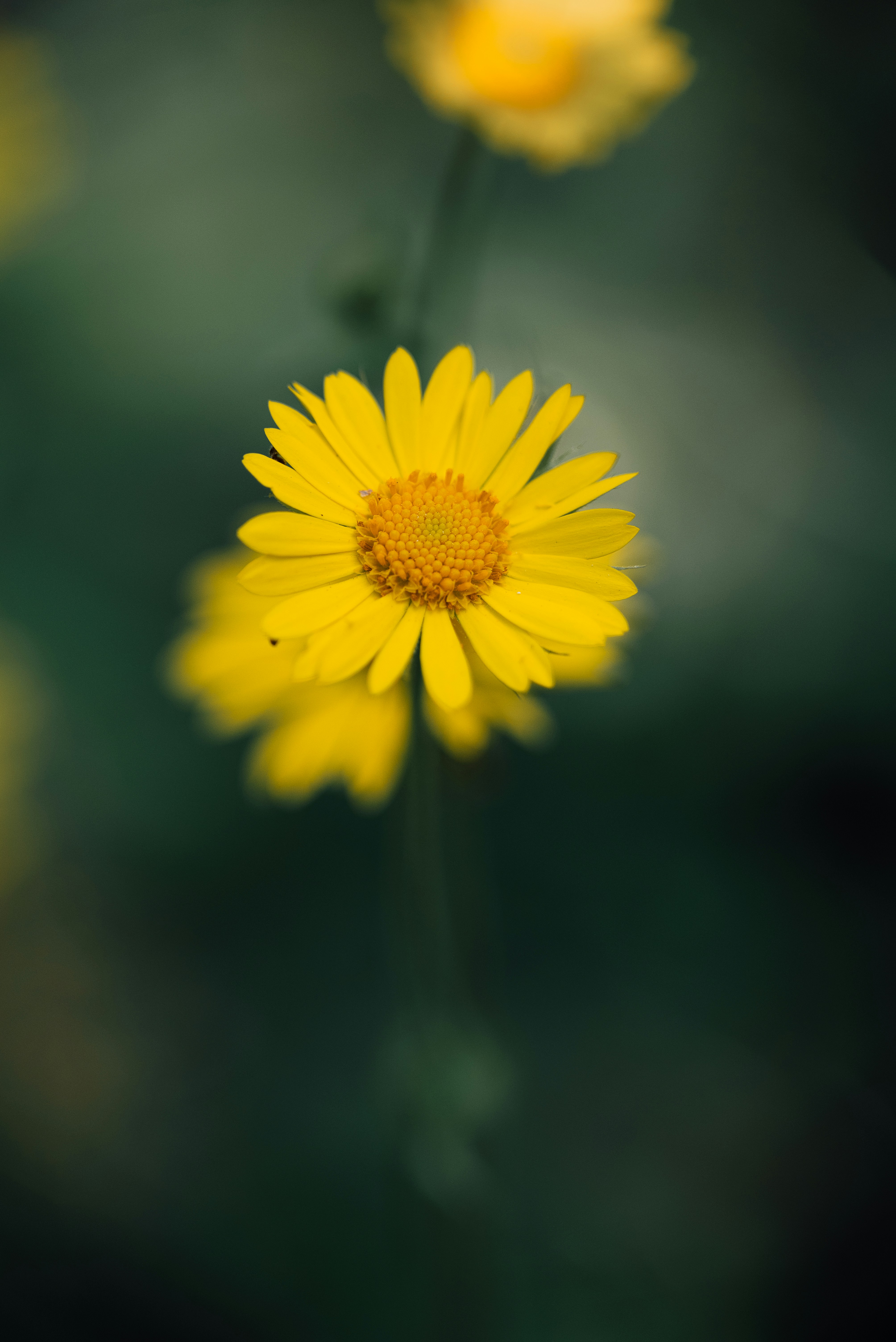 Photo by jetztabertempo