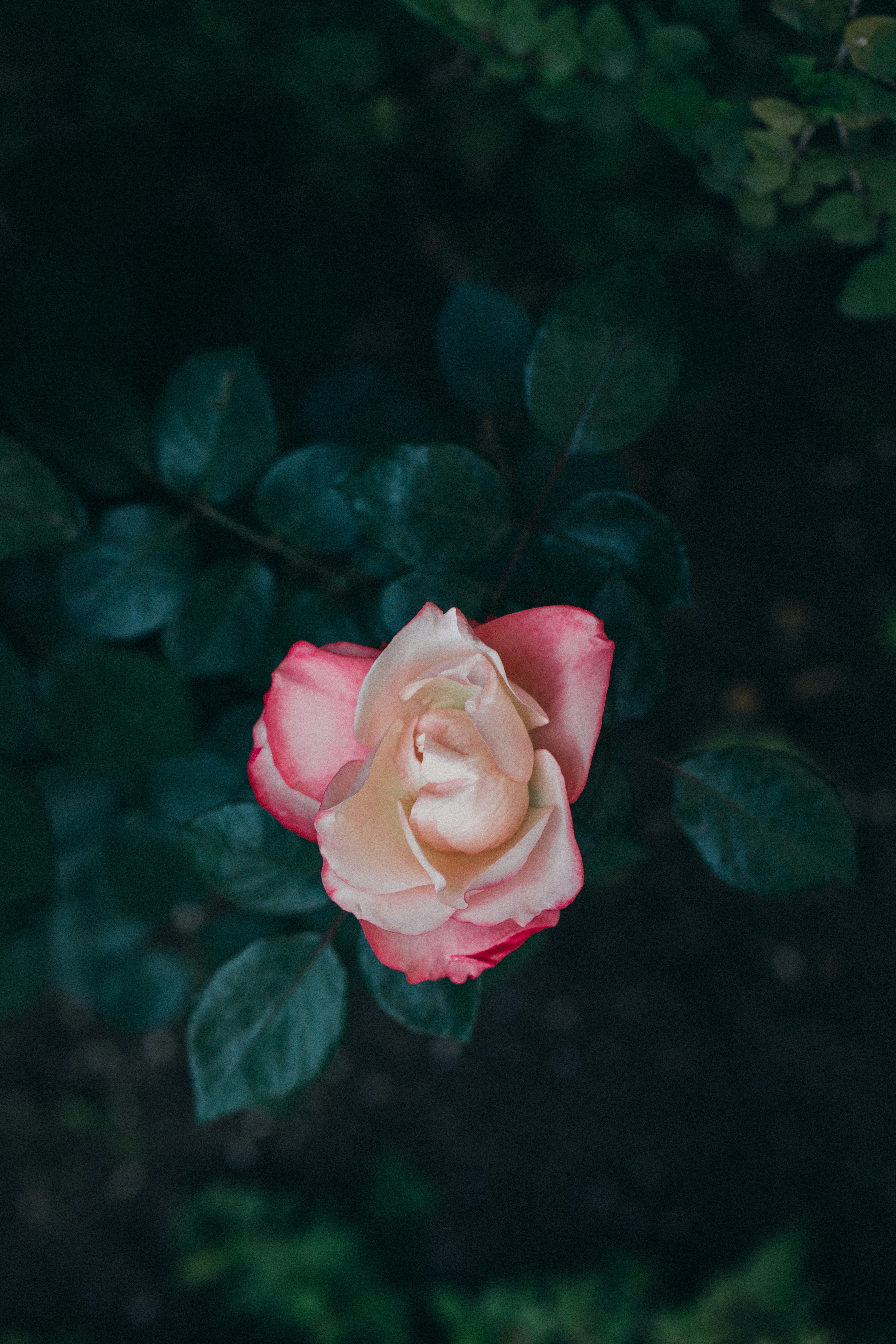 Photo by lahuertaestudio