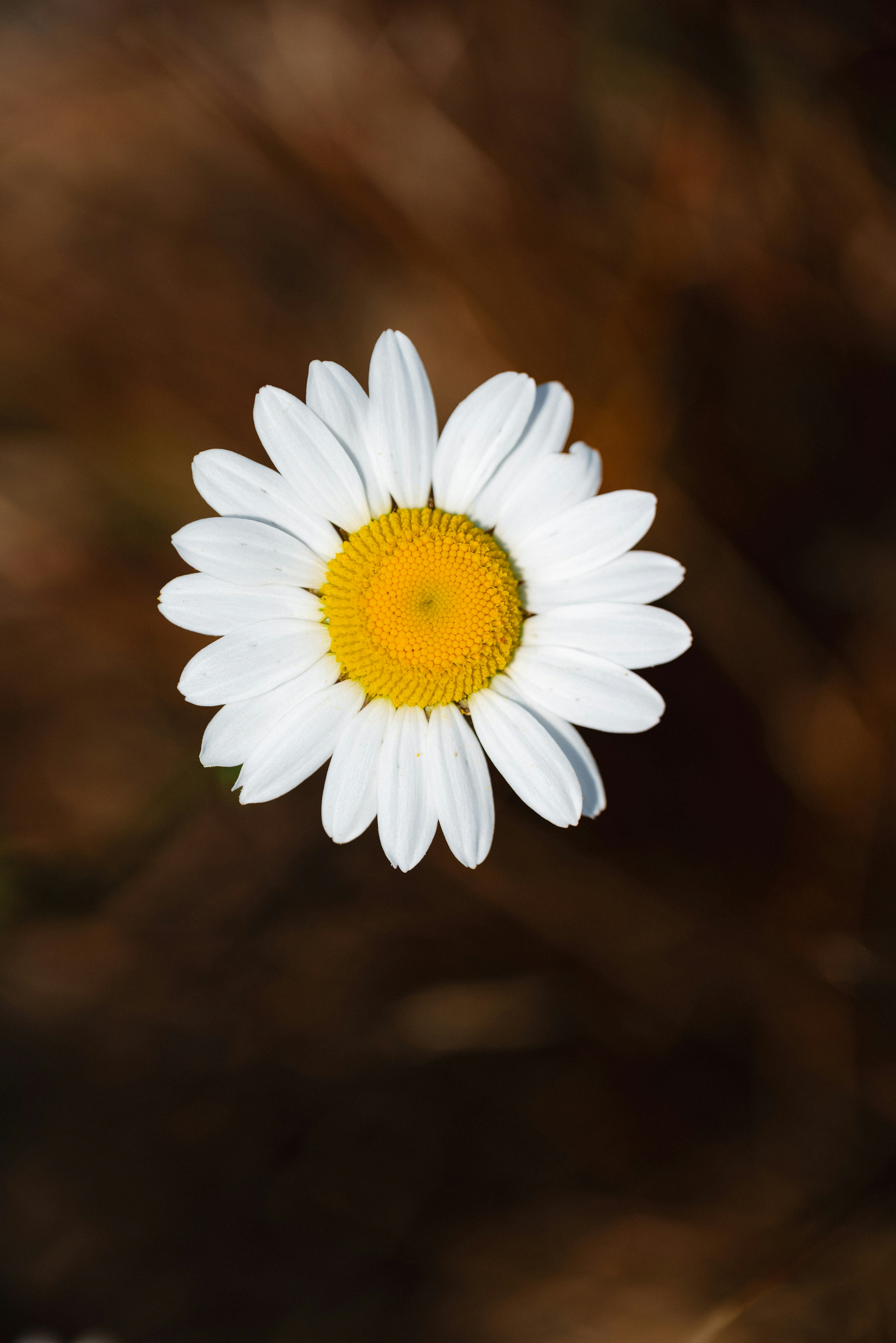 Photo by jetztabertempo