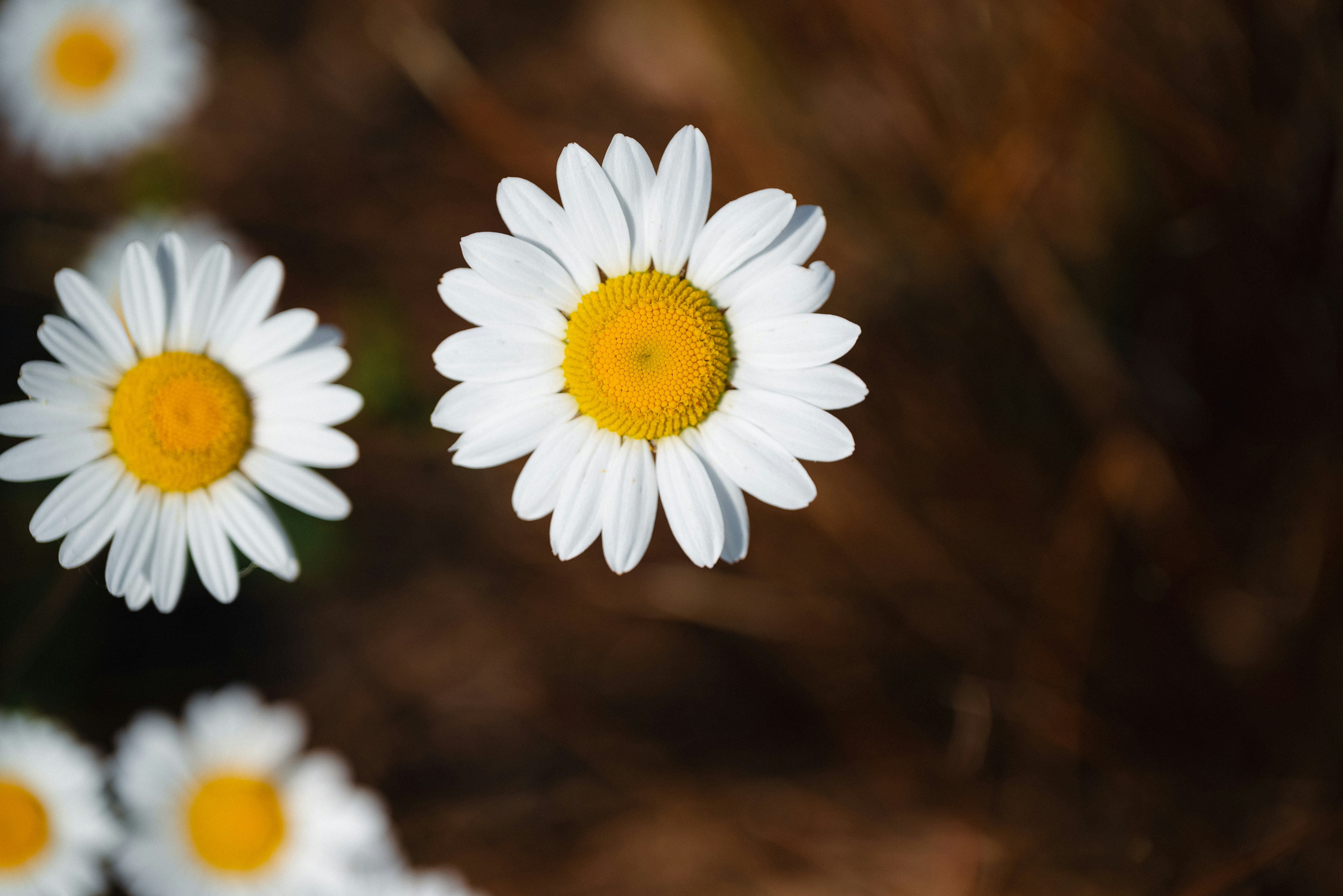 Photo by jetztabertempo