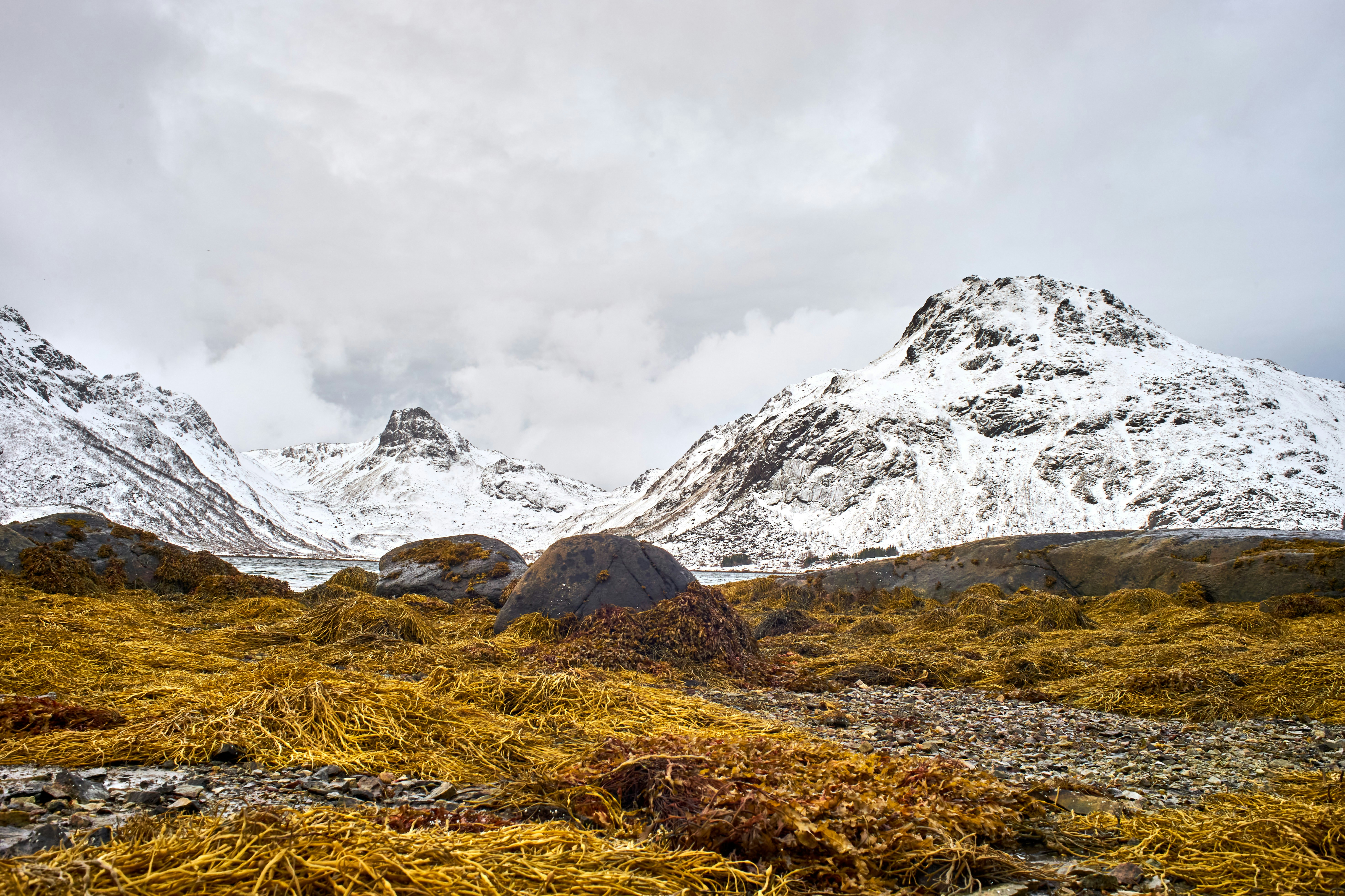 Photo by wolfgang_hasselmann