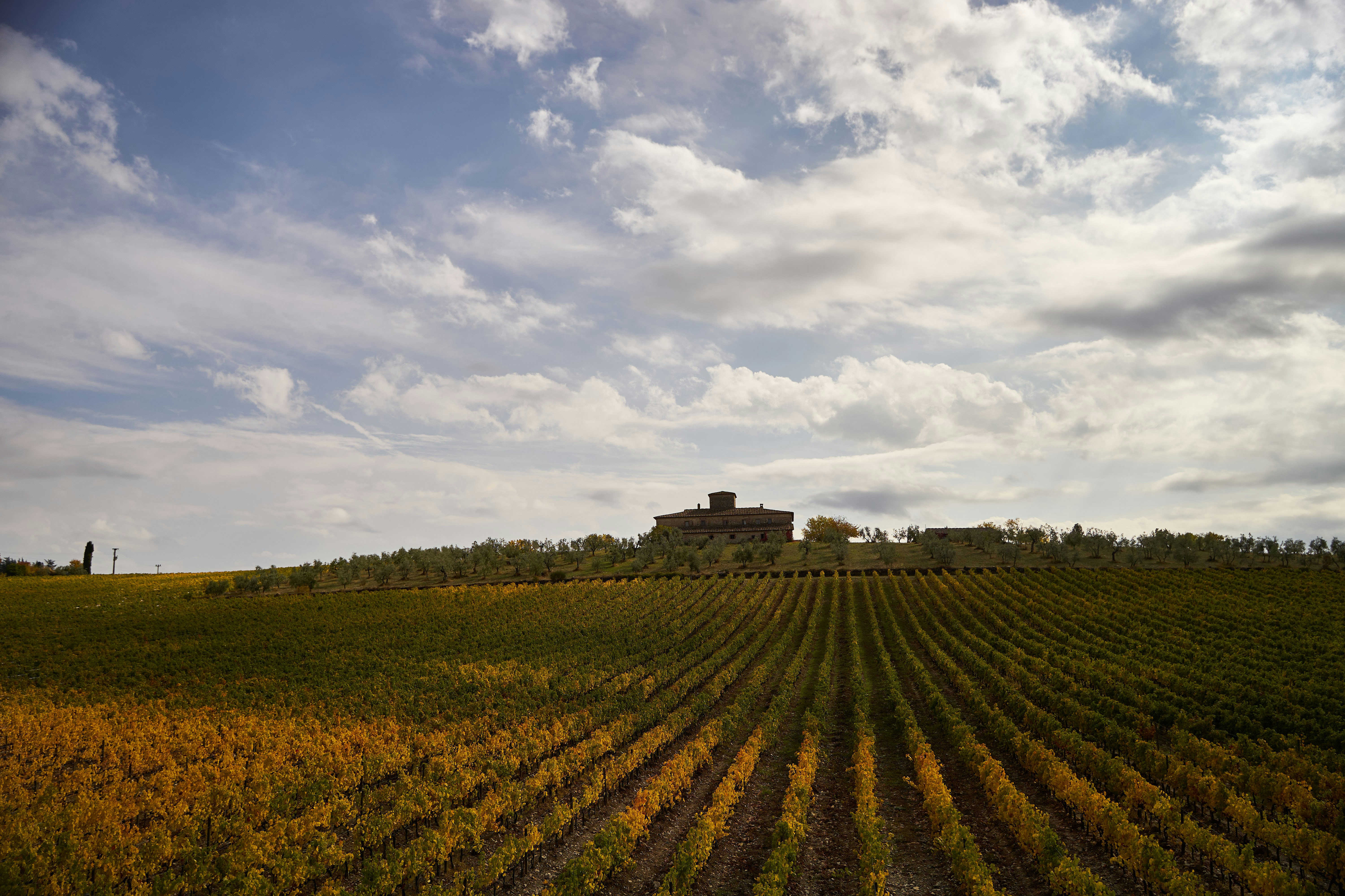 Photo by wolfgang_hasselmann