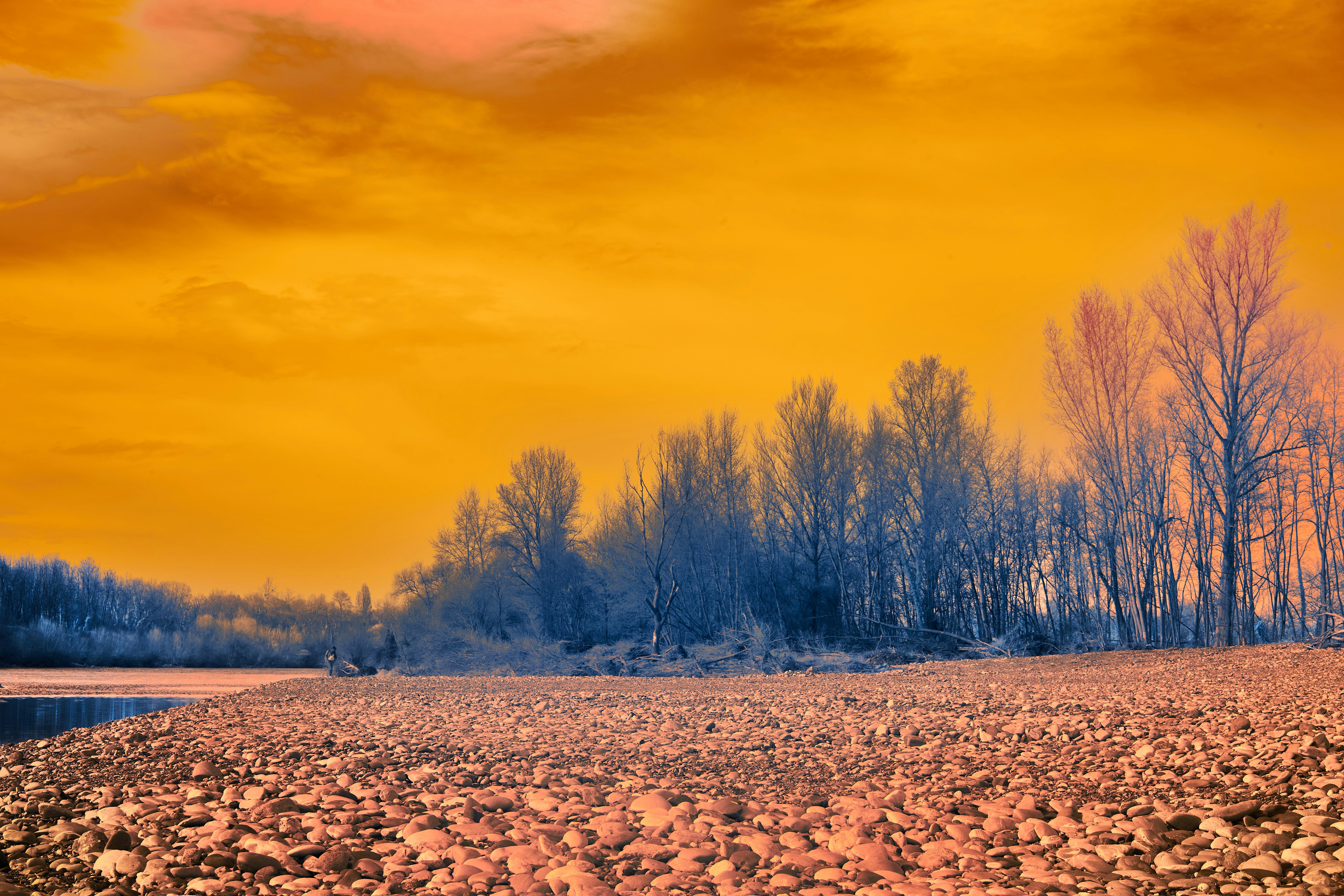 Photo by wolfgang_hasselmann