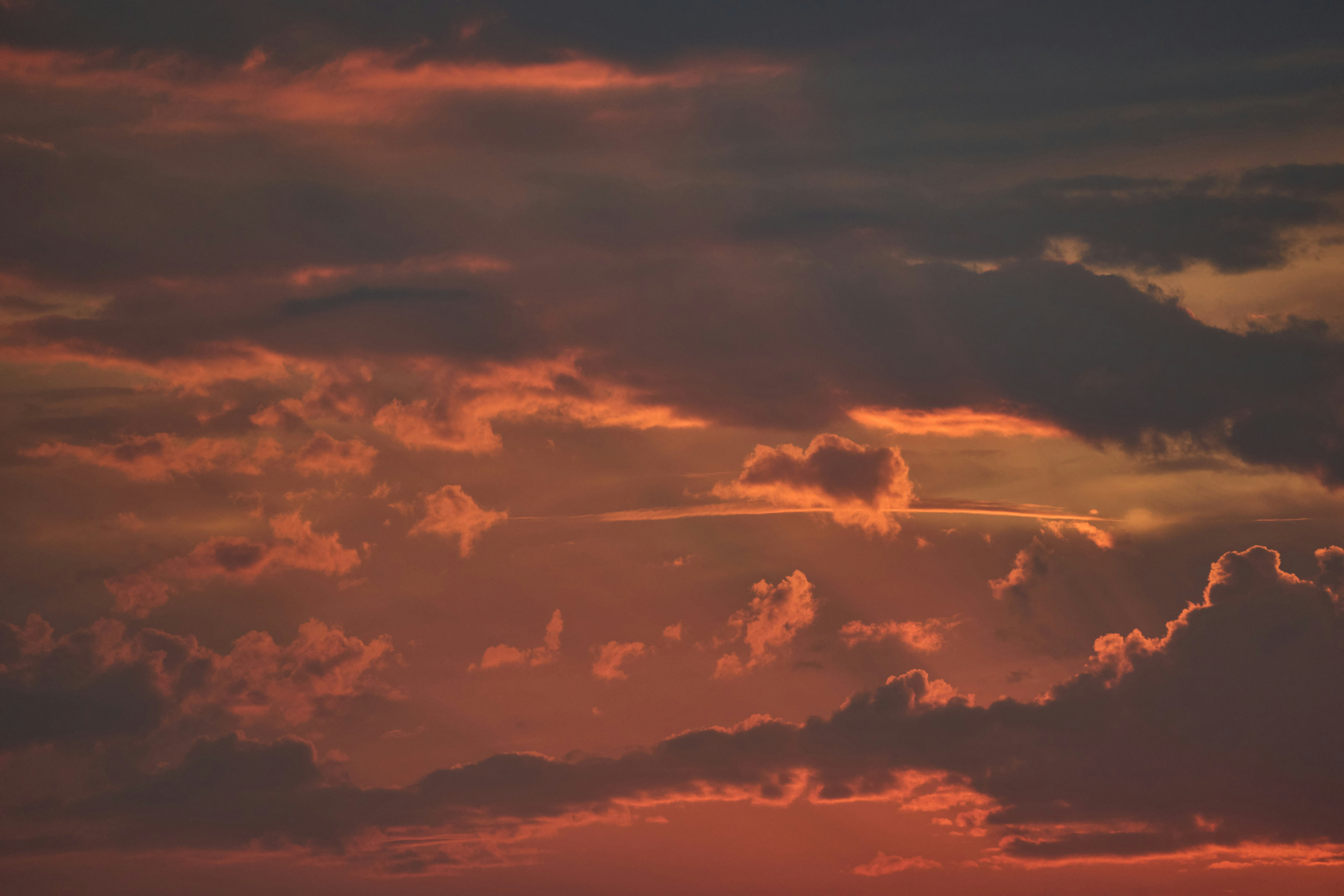 Photo by wolfgang_hasselmann