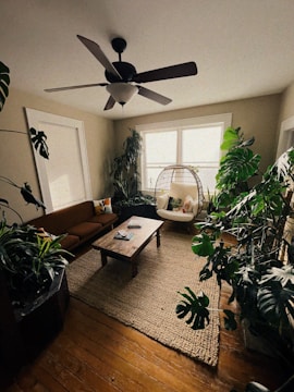 a living room filled with furniture and a ceiling fan