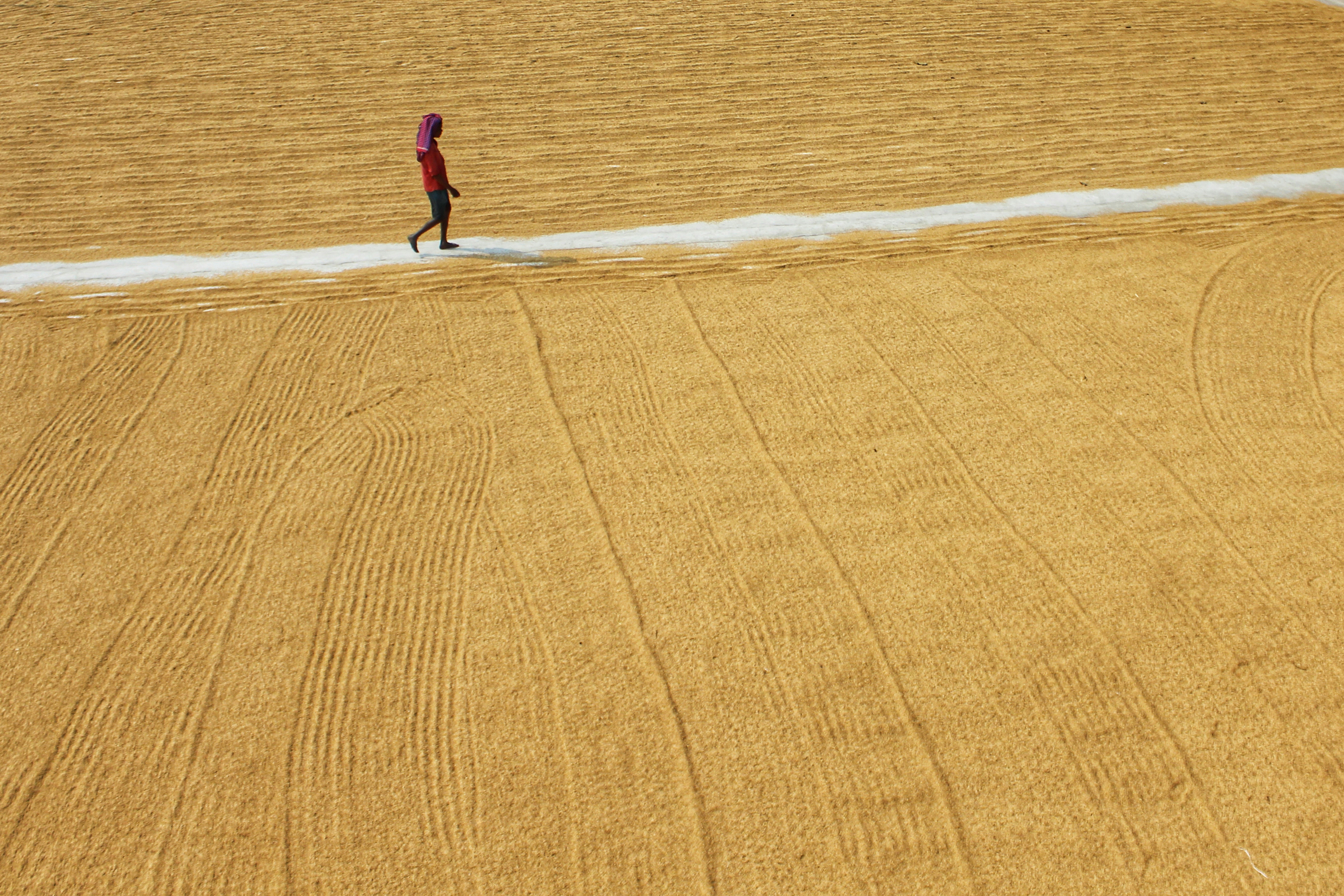 Photo by dibakar16roy