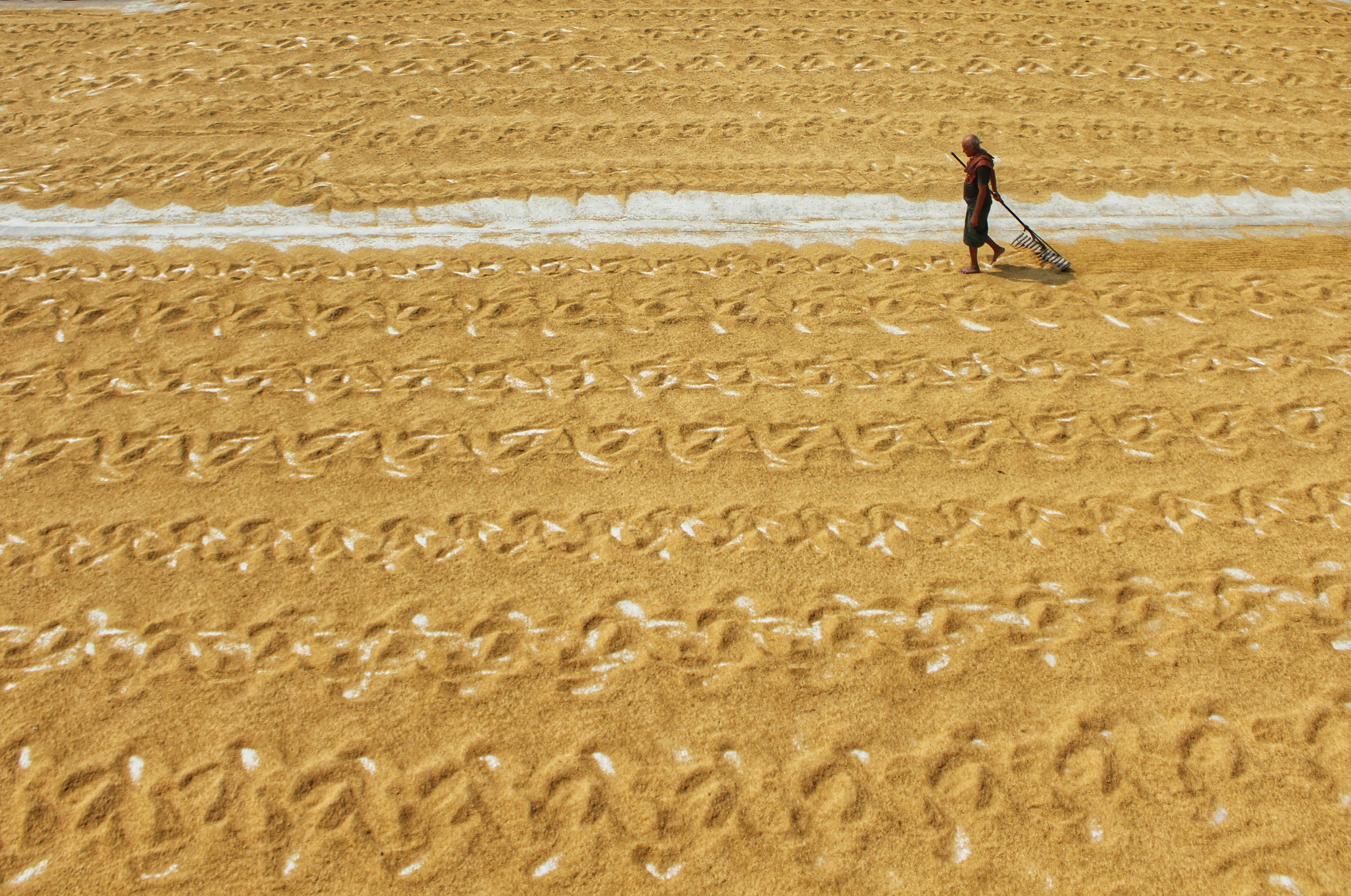 Photo by dibakar16roy