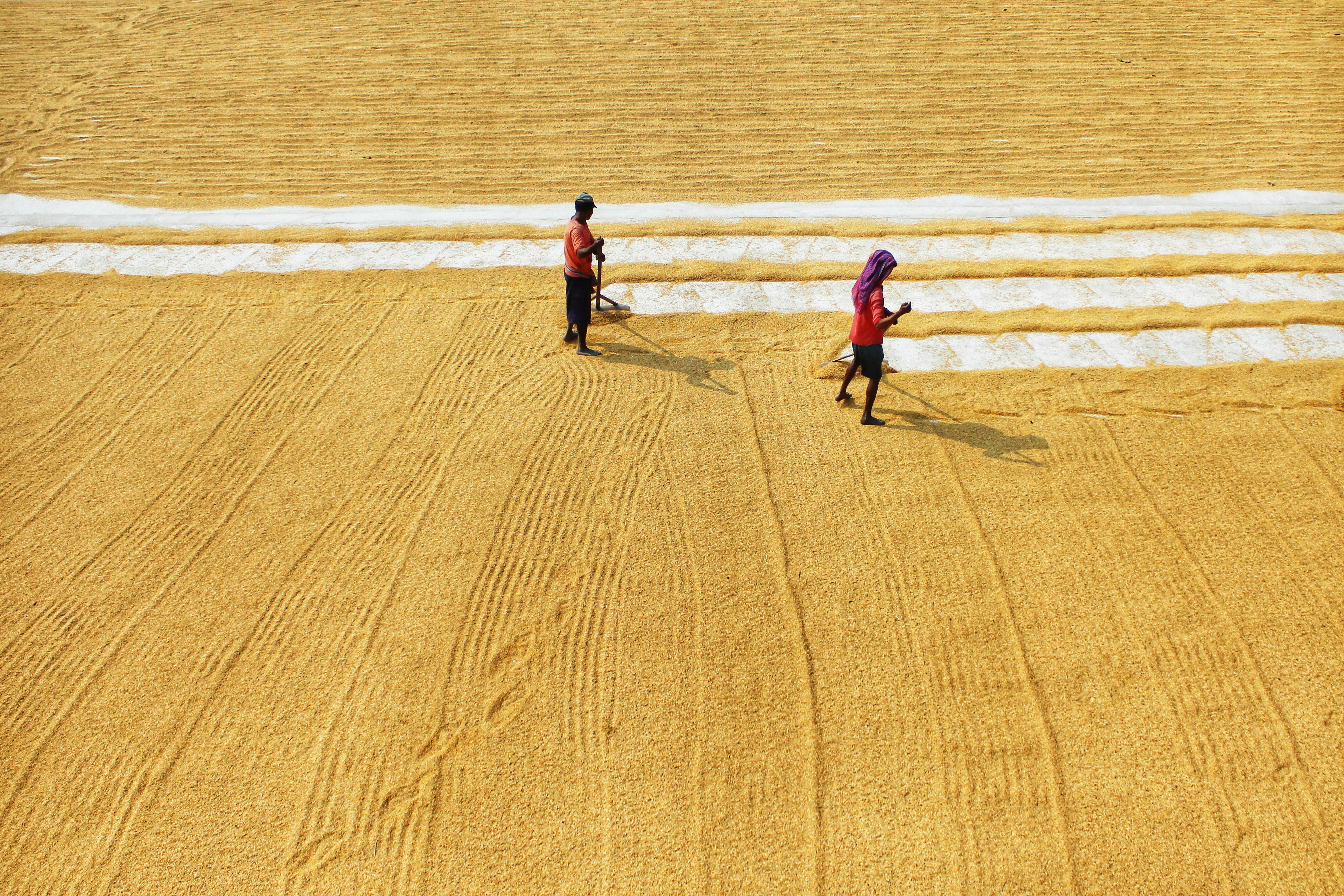 Photo by dibakar16roy