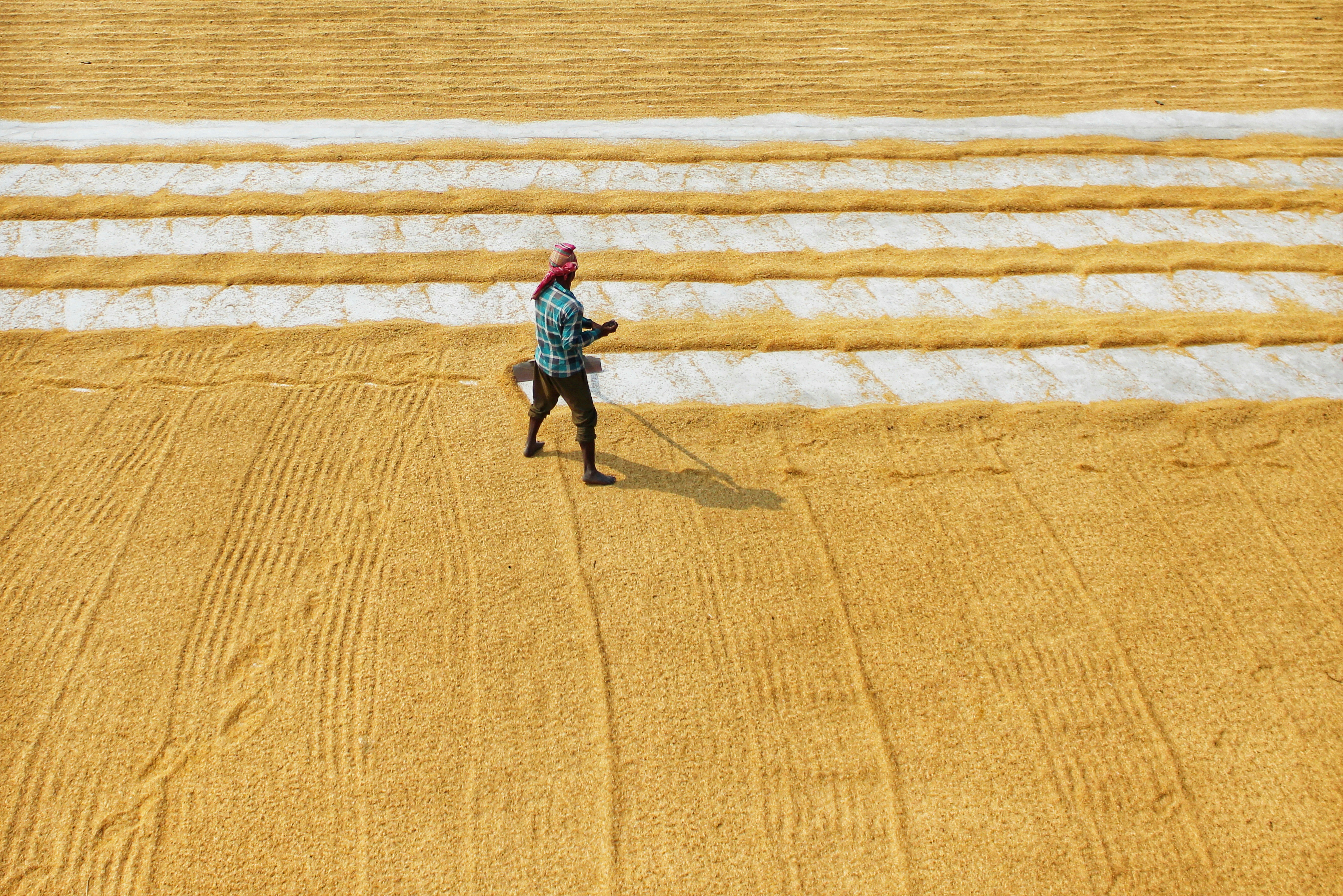 Photo by dibakar16roy