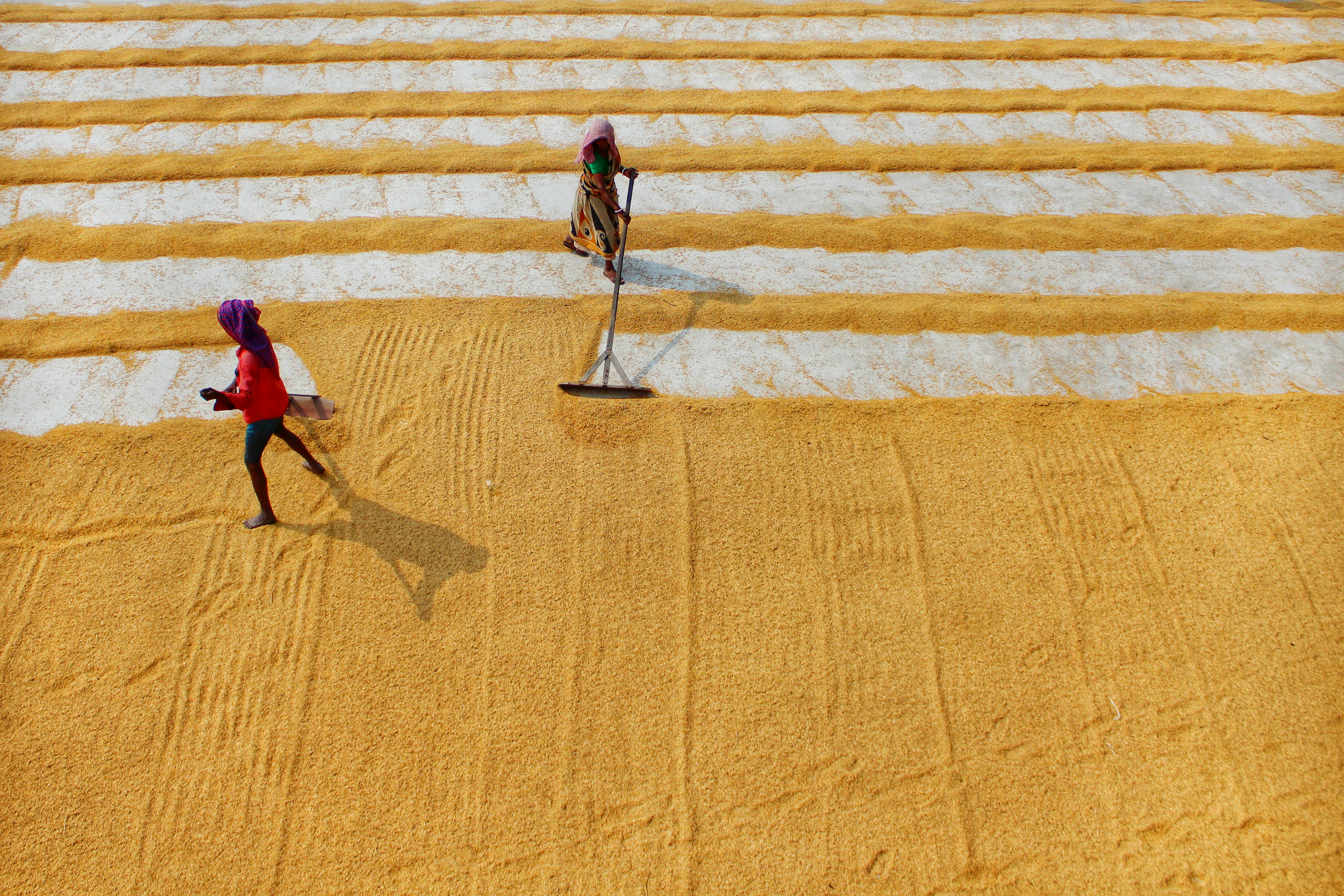 Photo by dibakar16roy