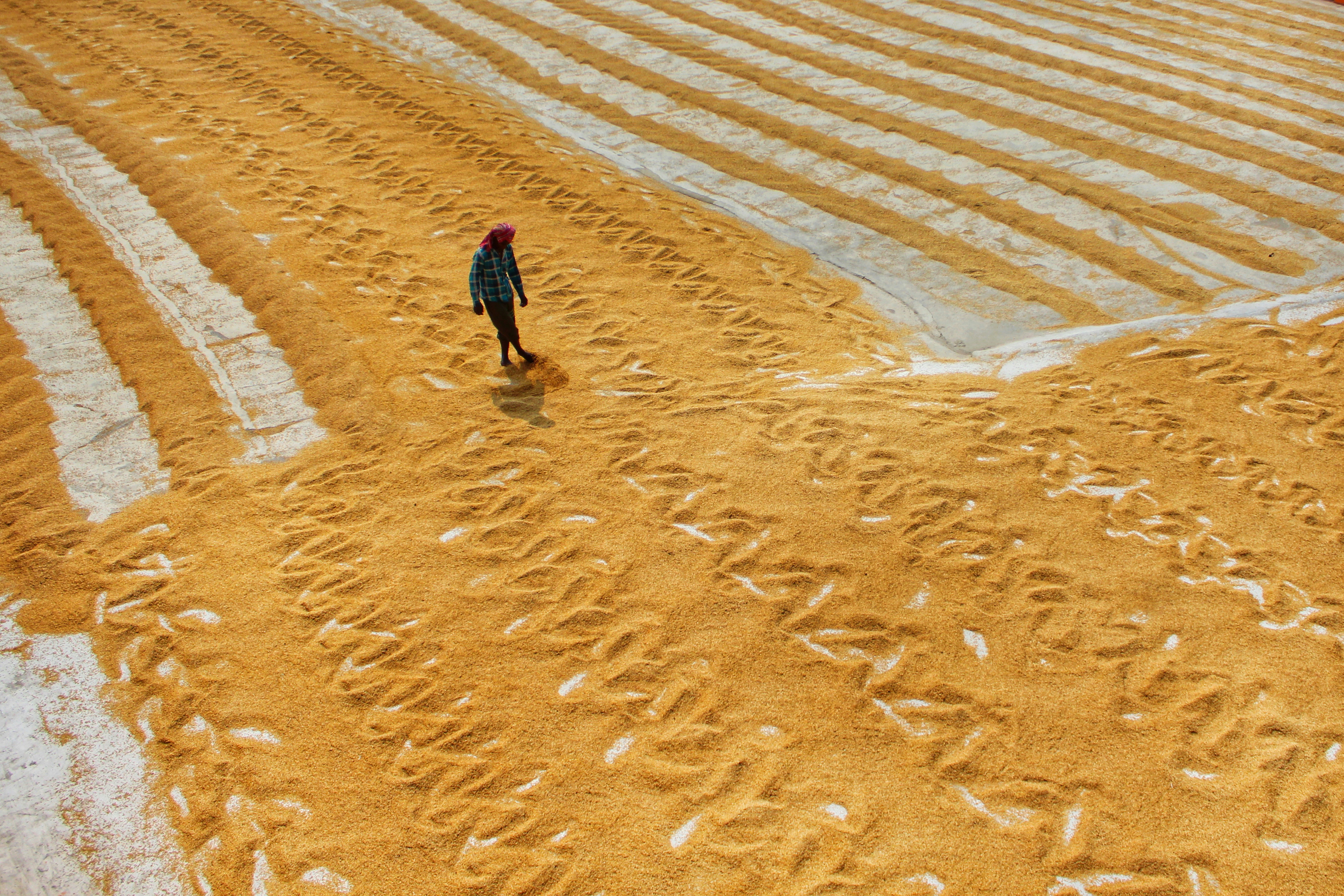 Photo by dibakar16roy