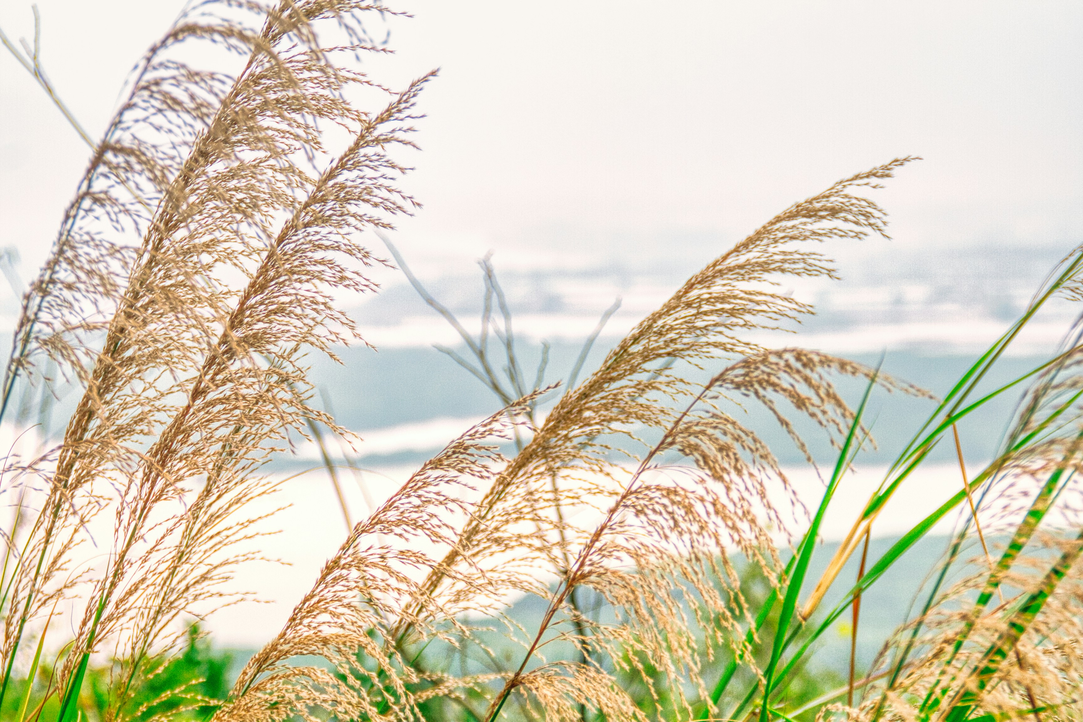 Photo by thomaskinto