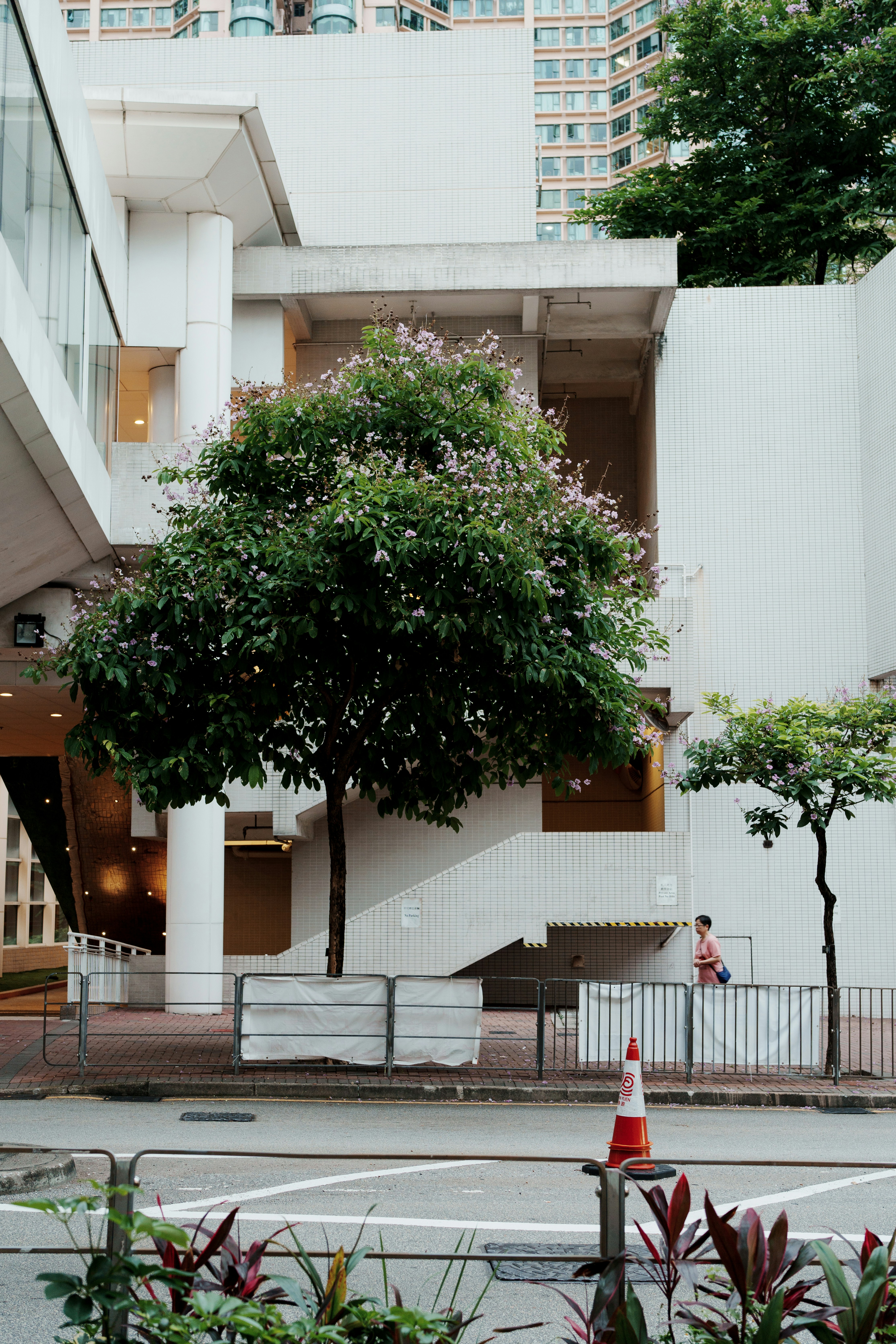 Photo by toxicsmoker