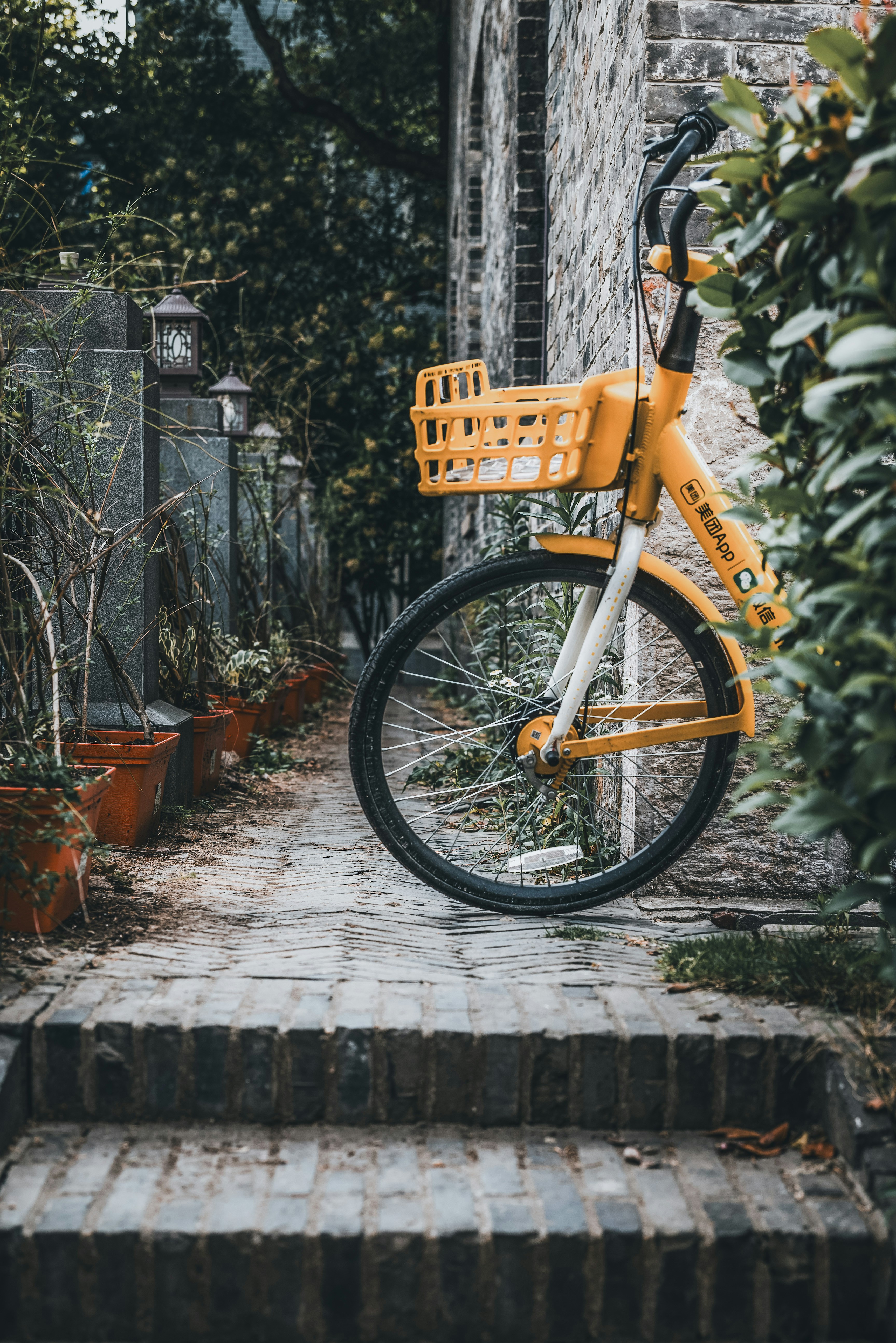 Photo by sakurajimamai12138