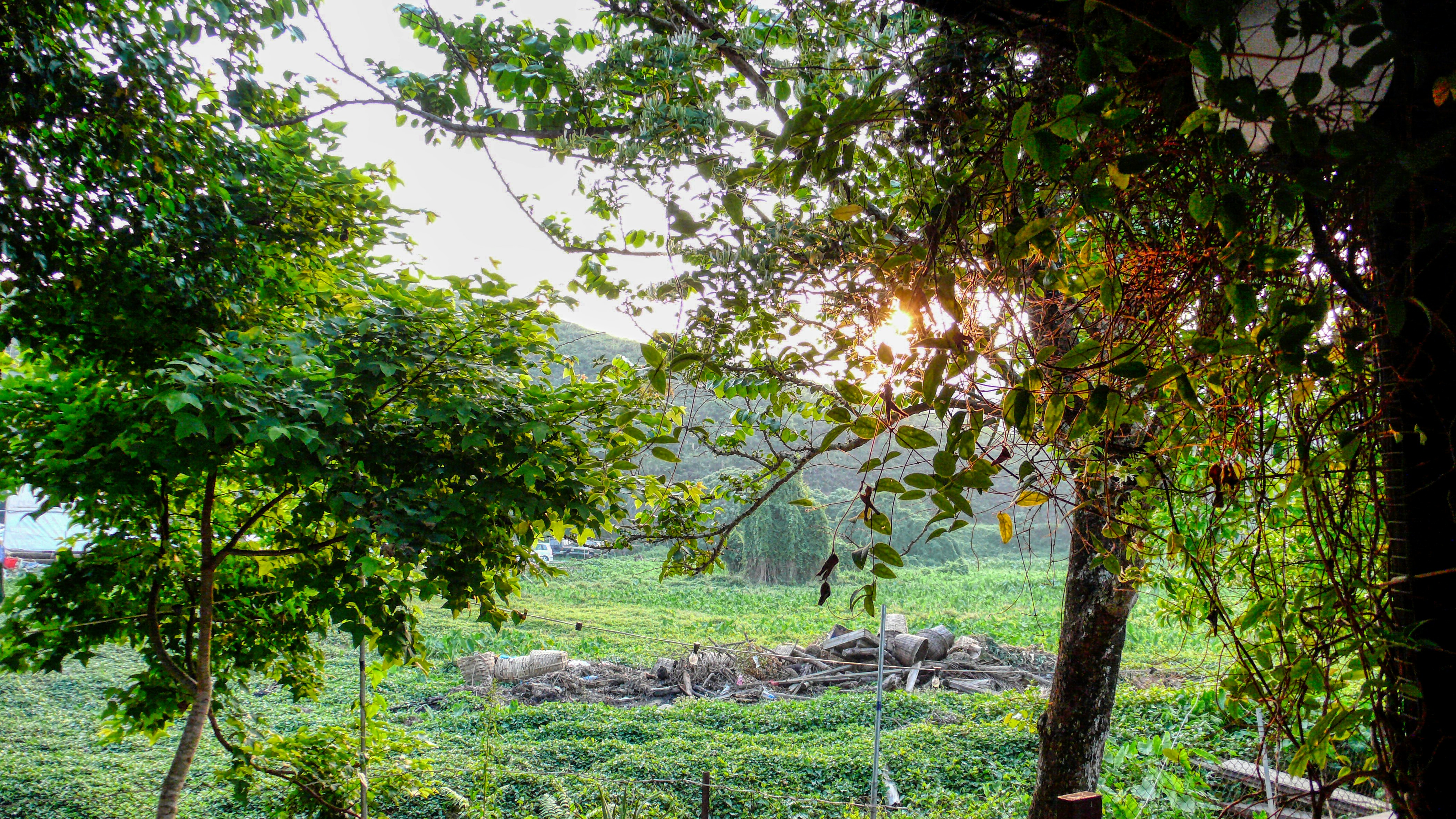 Photo by thomaskinto