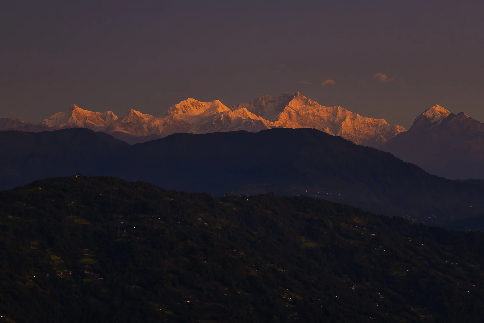The Kanchenjunga range glowing rose above dark forested ridges, seen from a Darjeeling tea estate