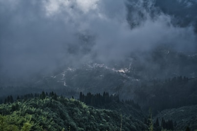 a mountain covered in trees under a cloudy sky