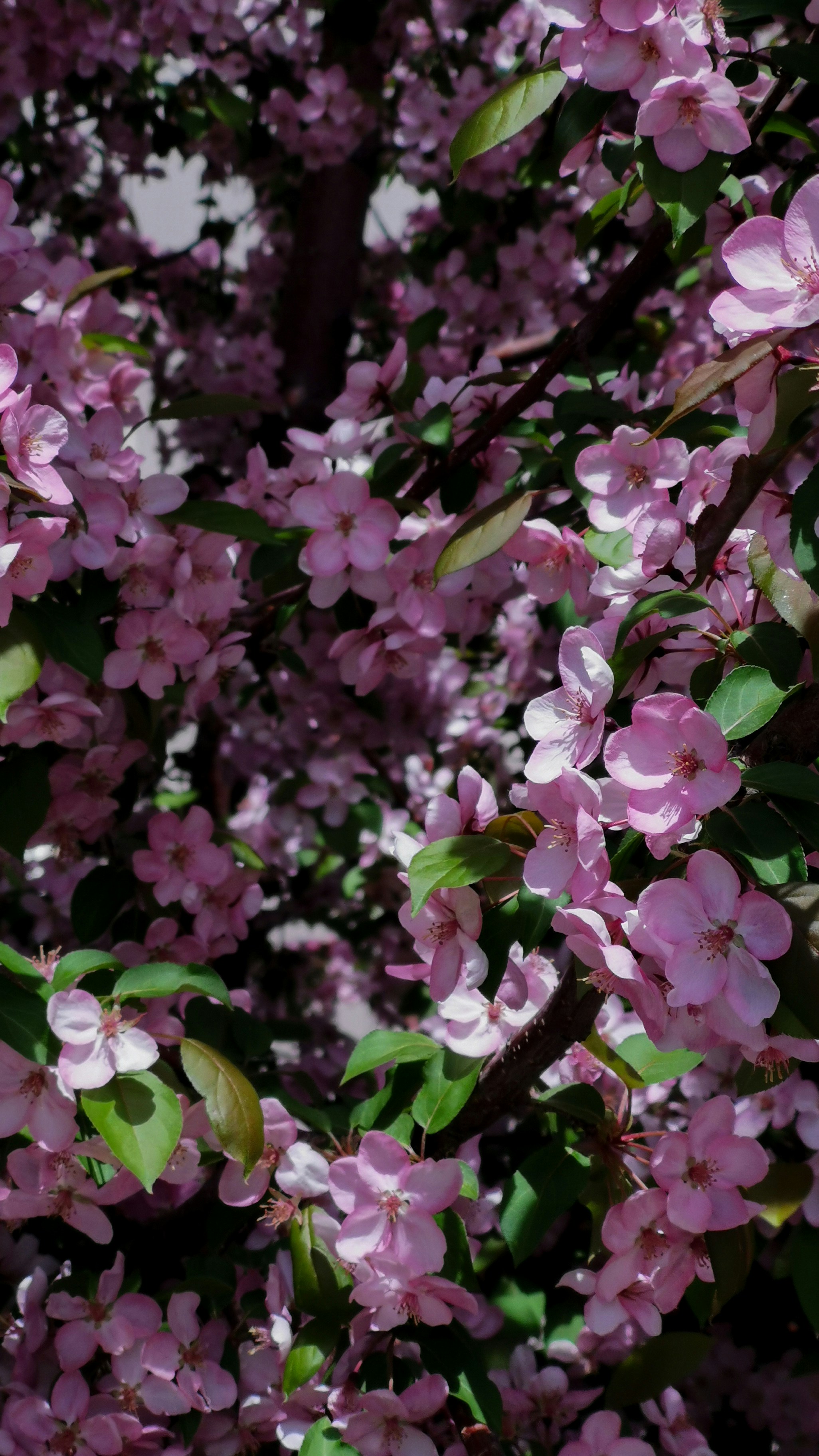 Photo by ann_integra