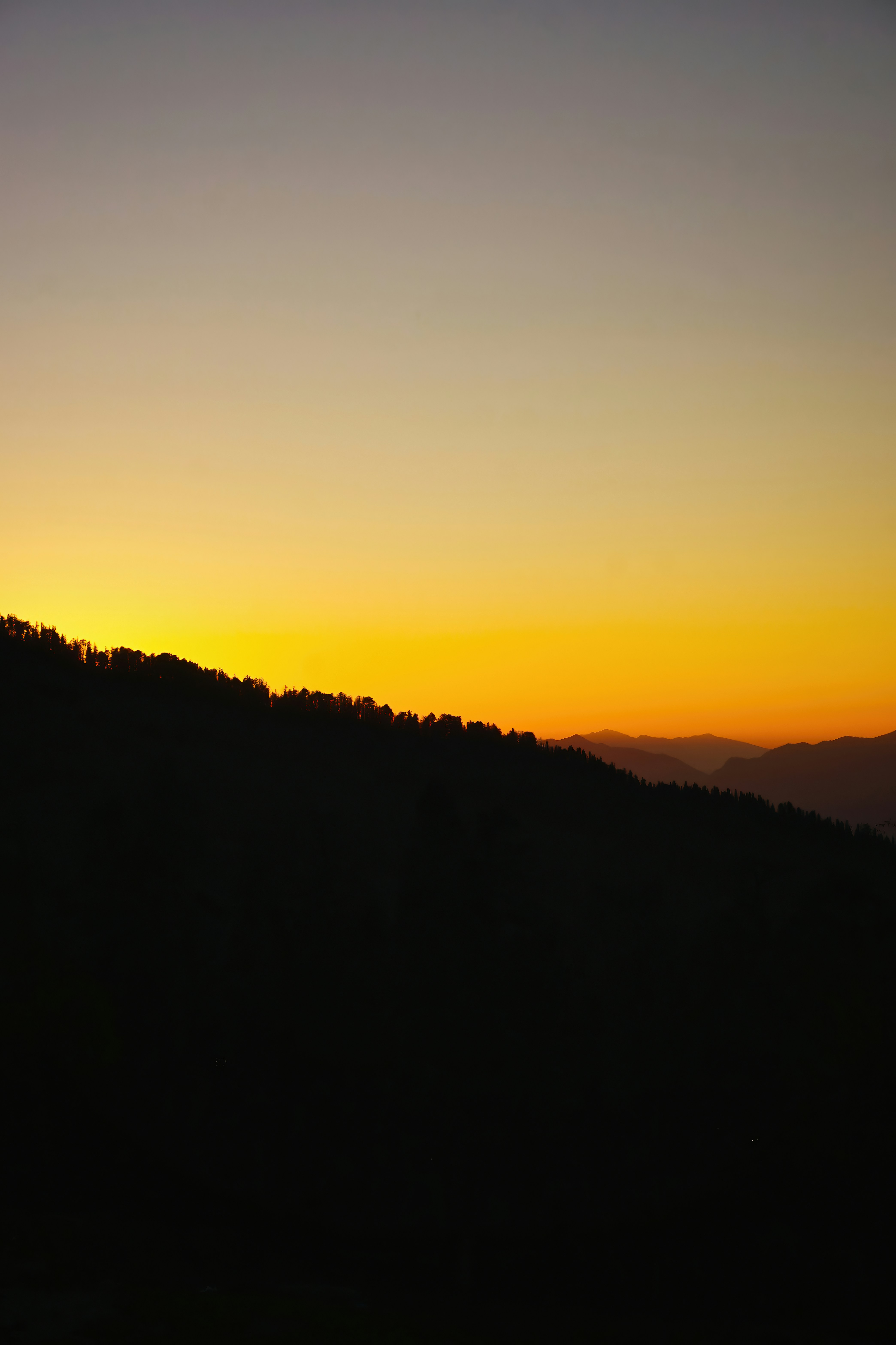 Photo by palak_pitroda