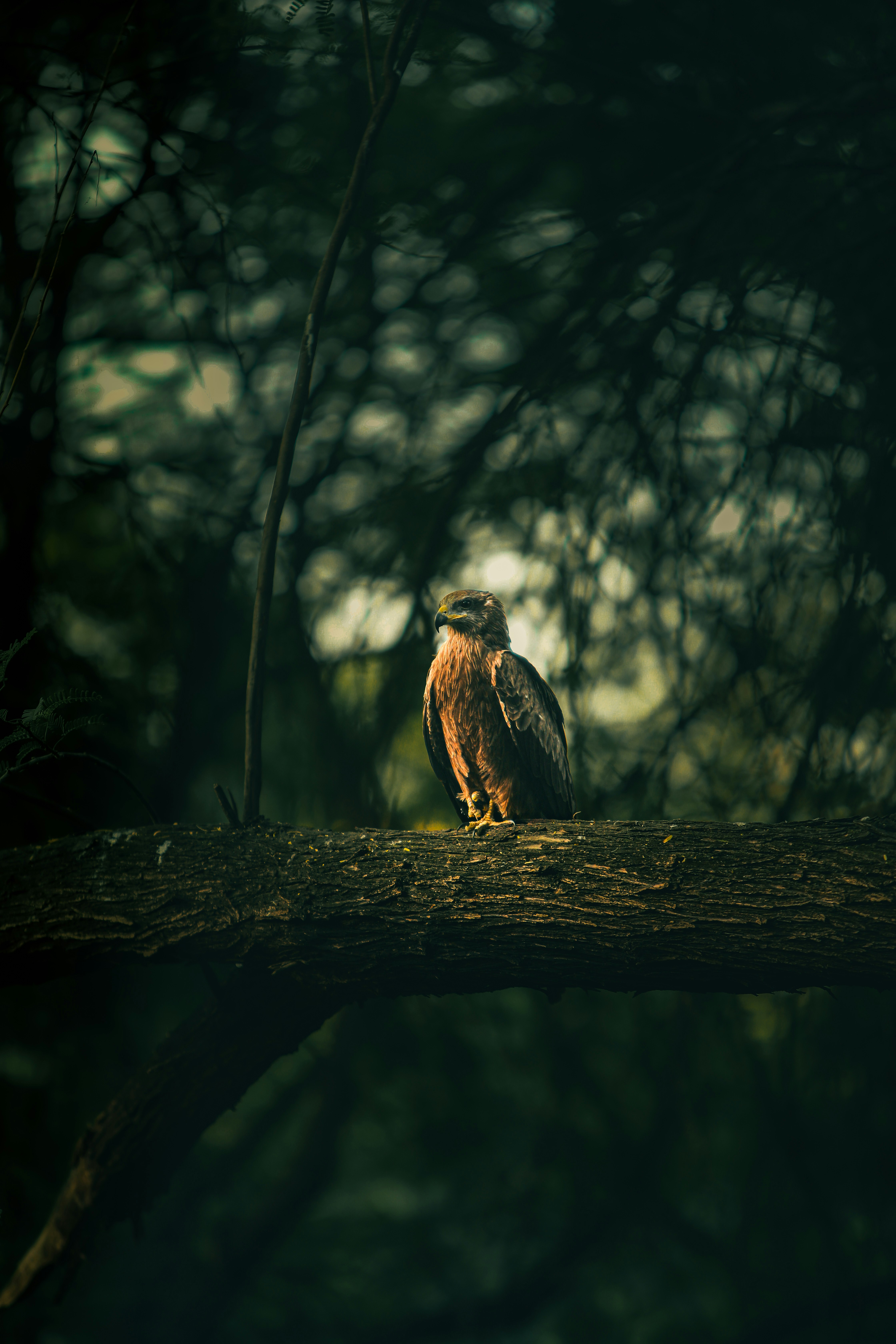 Photo by ibrahimansari