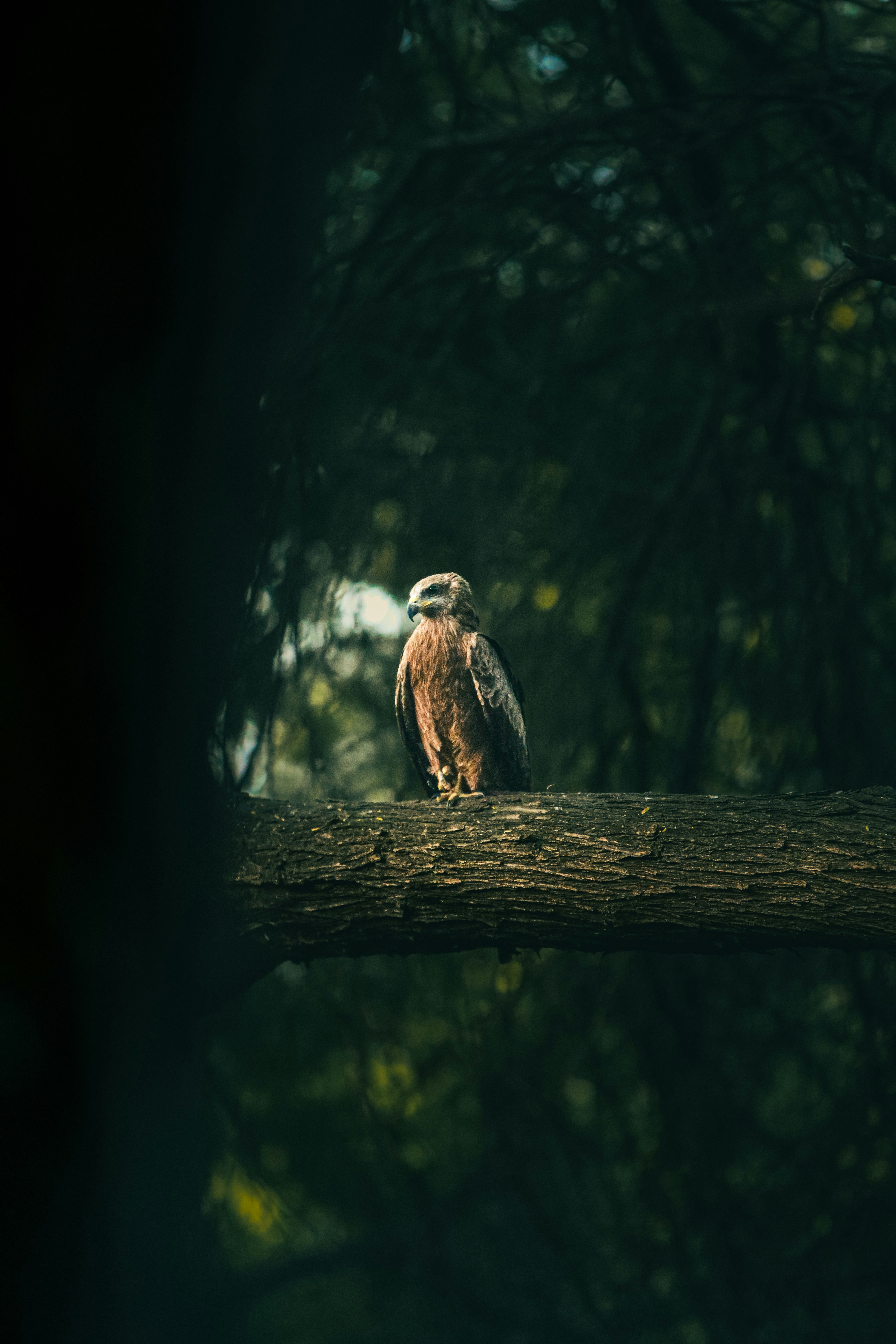 Photo by ibrahimansari