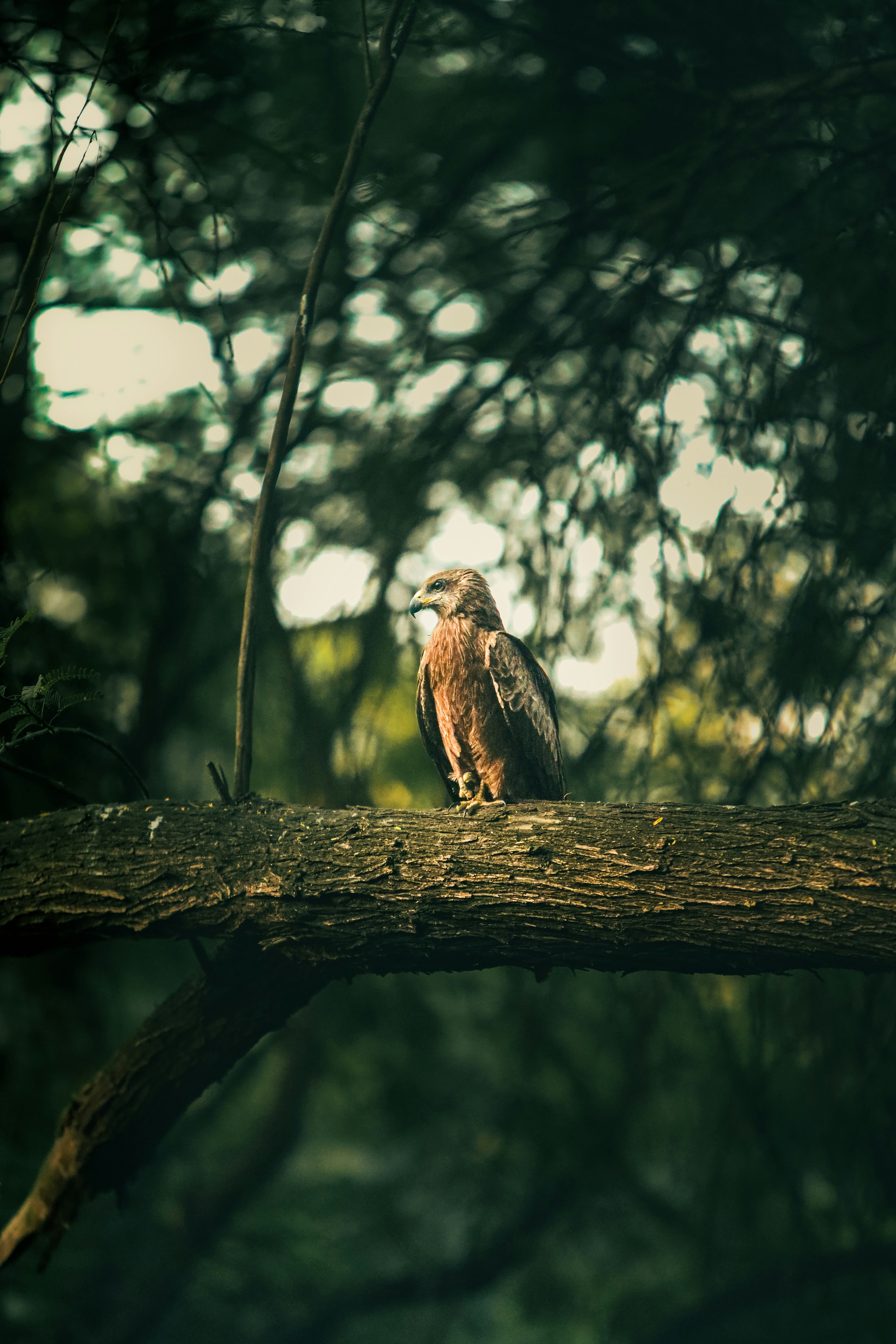 Photo by ibrahimansari