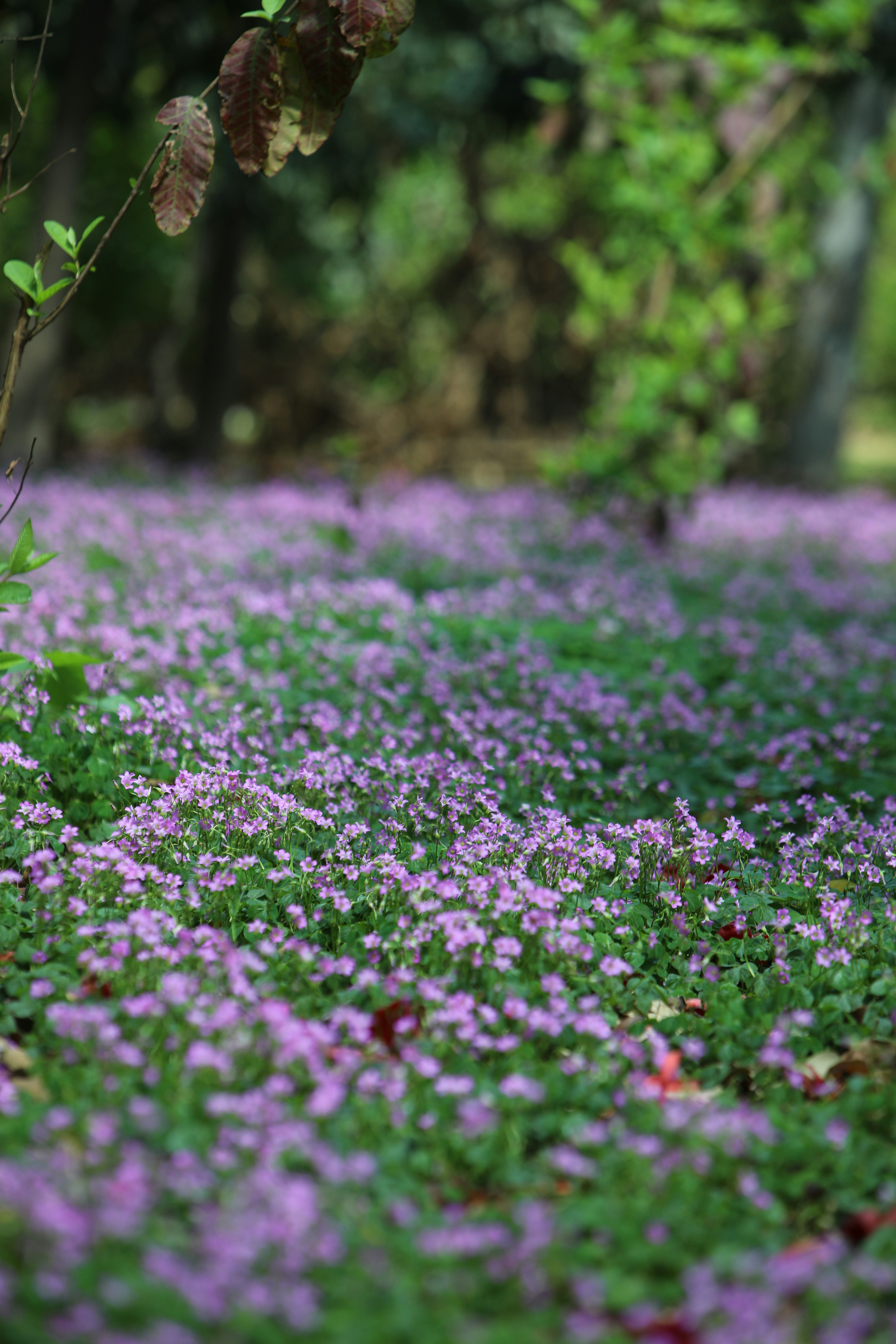 Photo by ibrahimansari