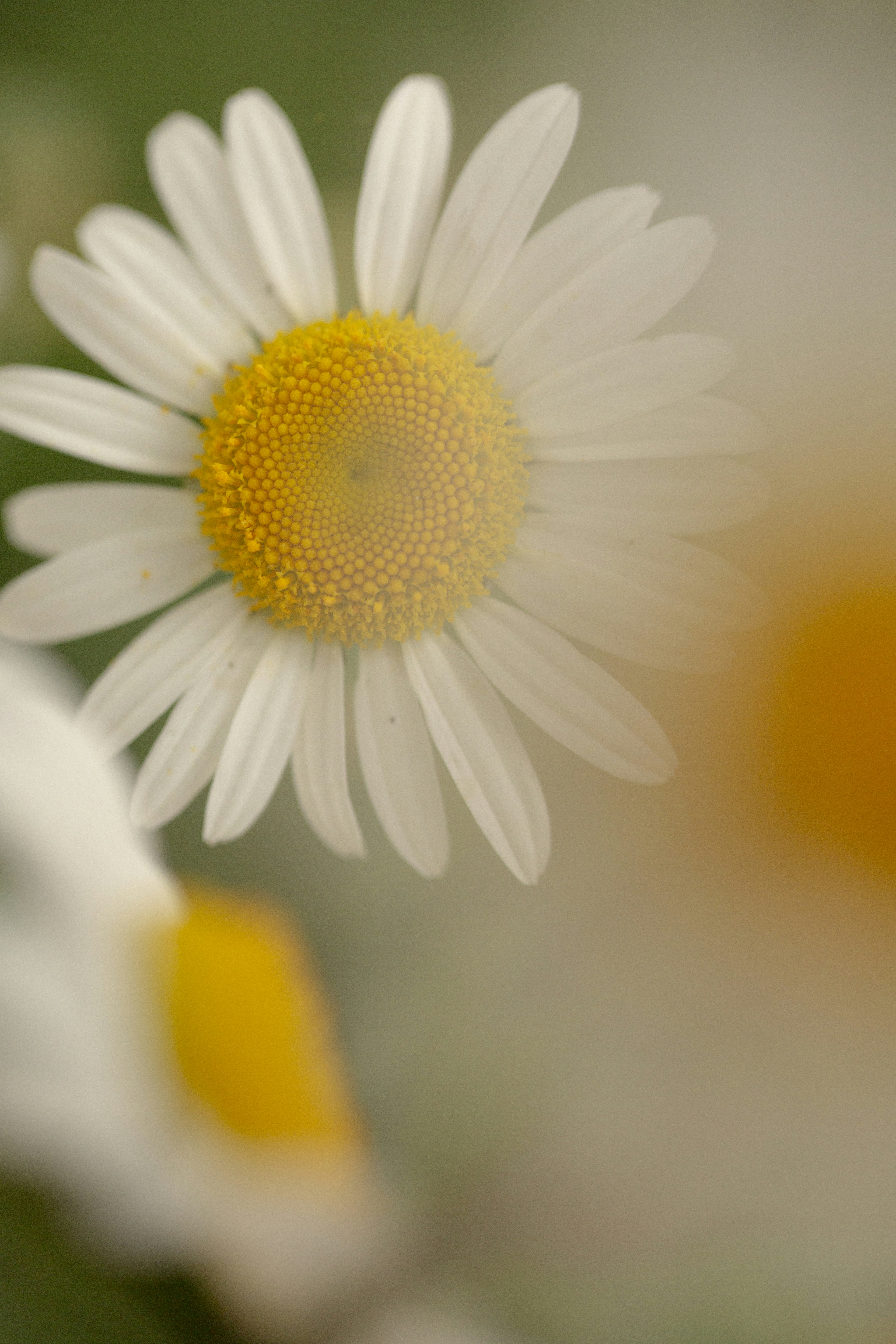 Photo by ditakesphotos