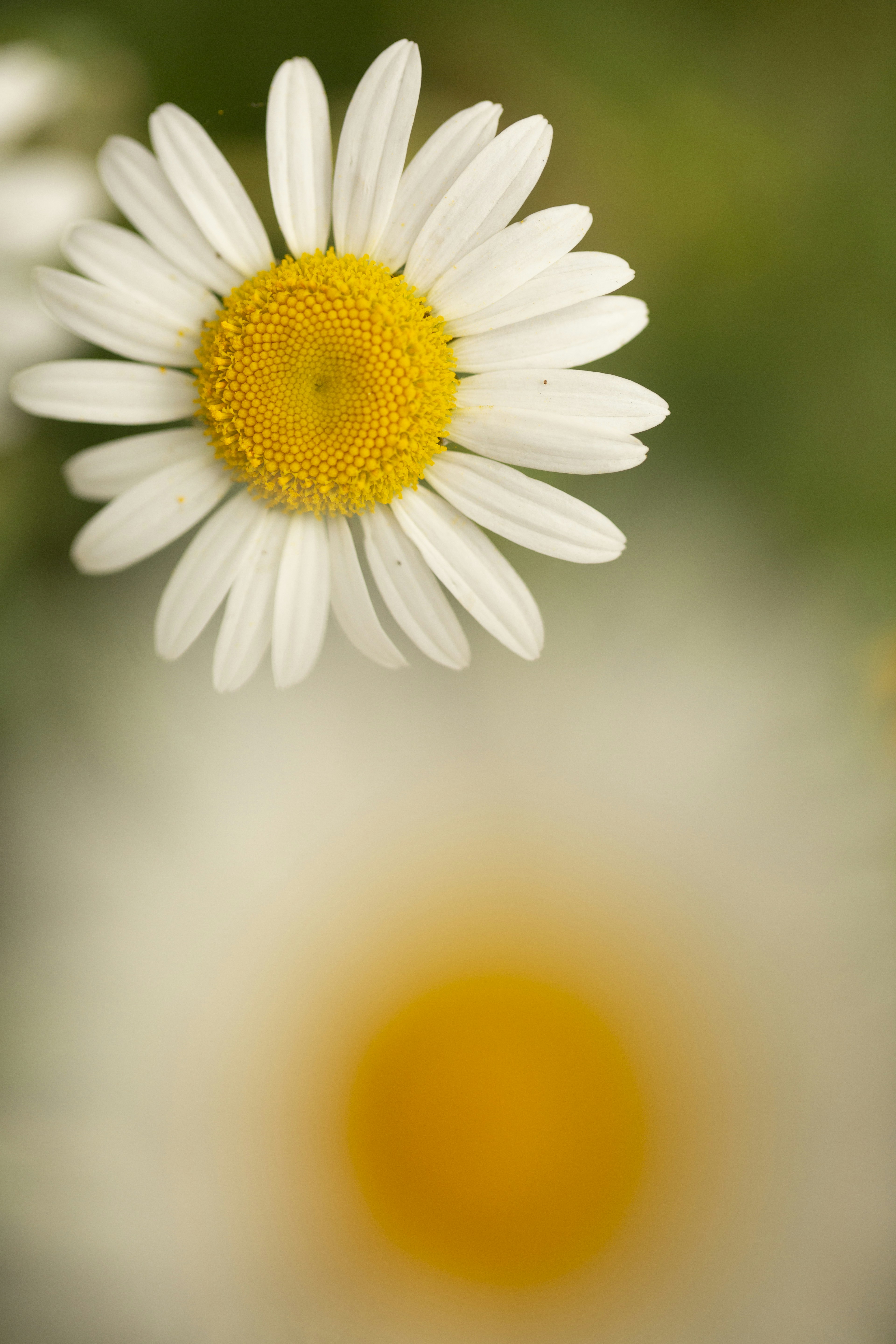 Photo by ditakesphotos