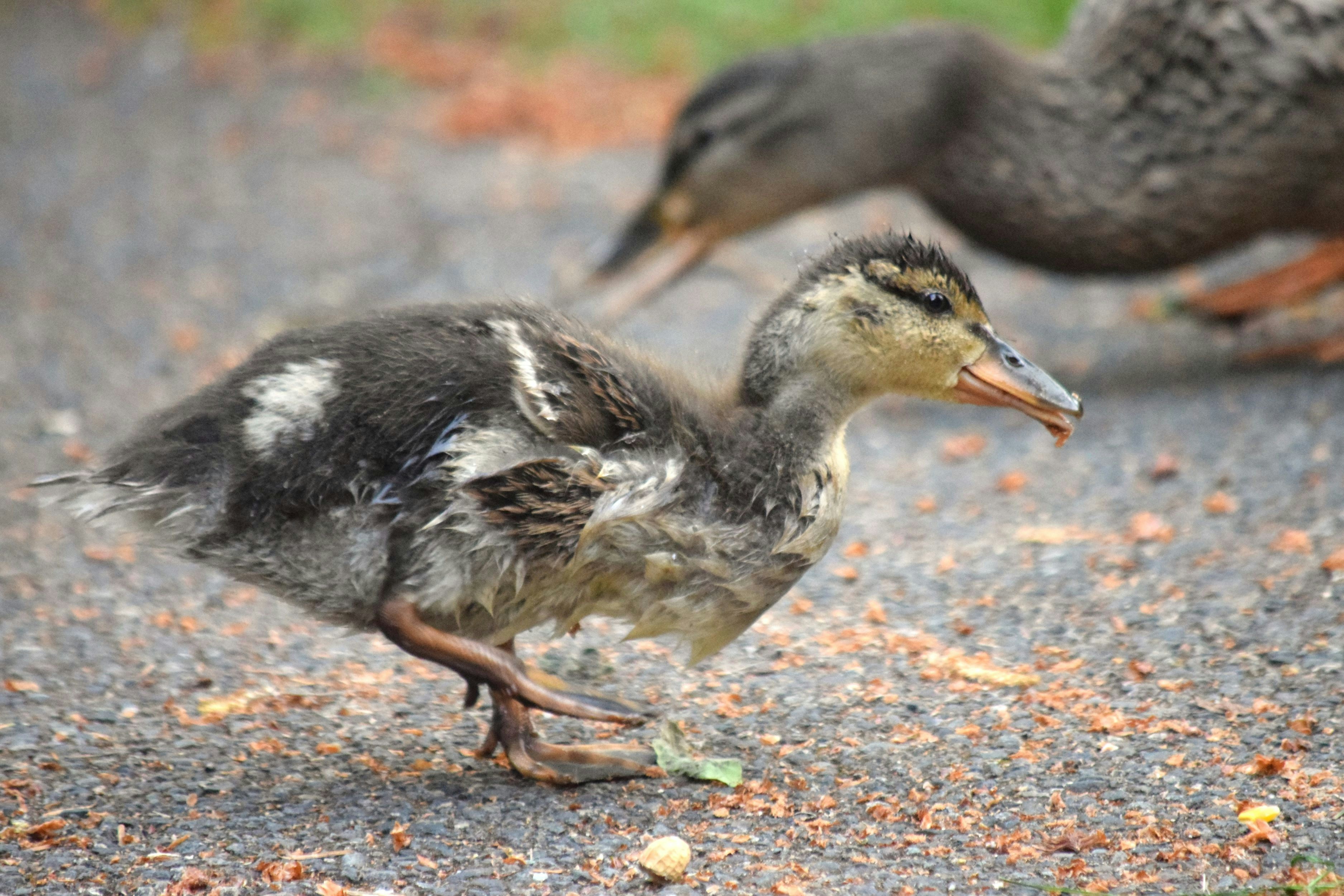 Photo by fr0ggy5_fr0ggy5