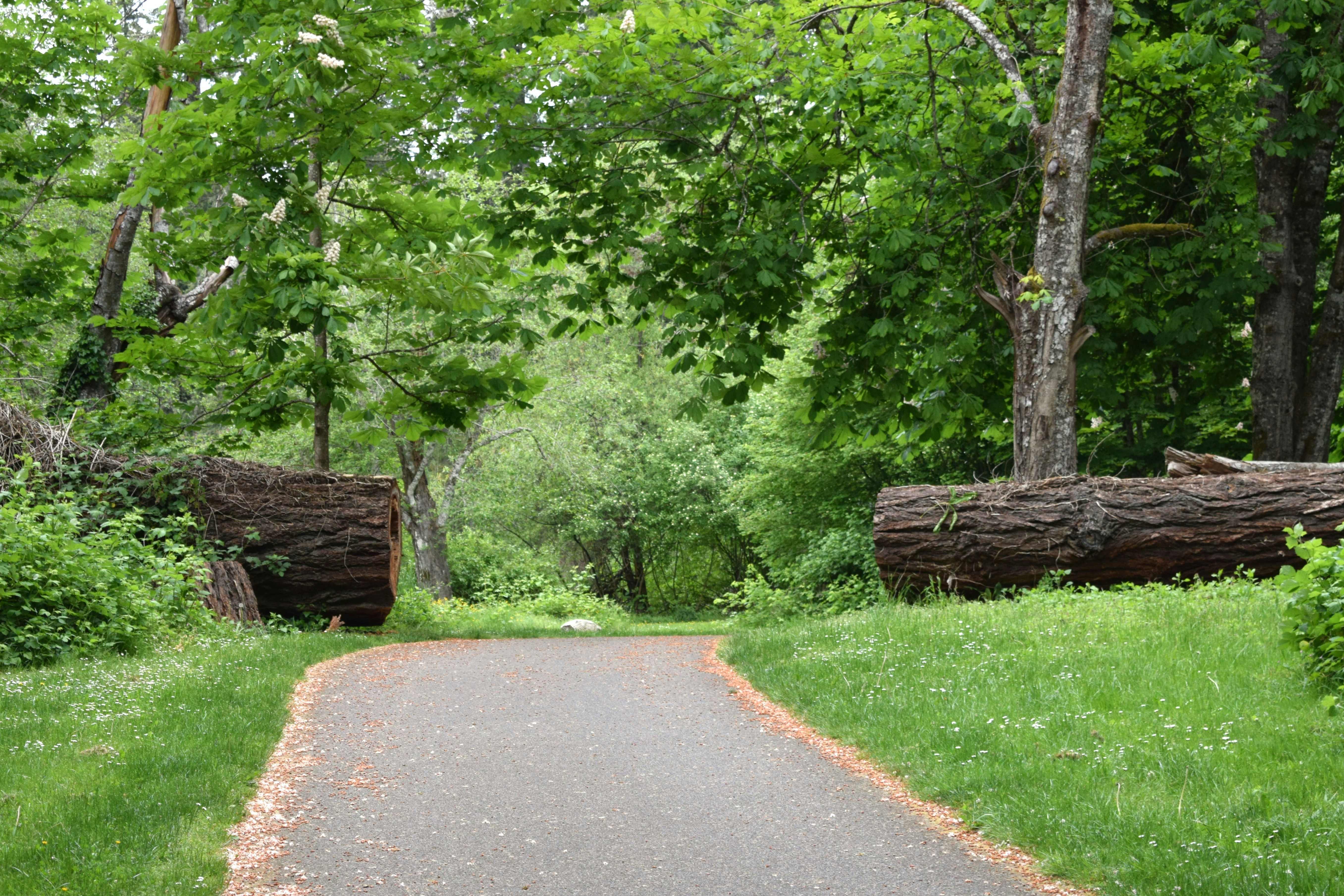 Advocate Park