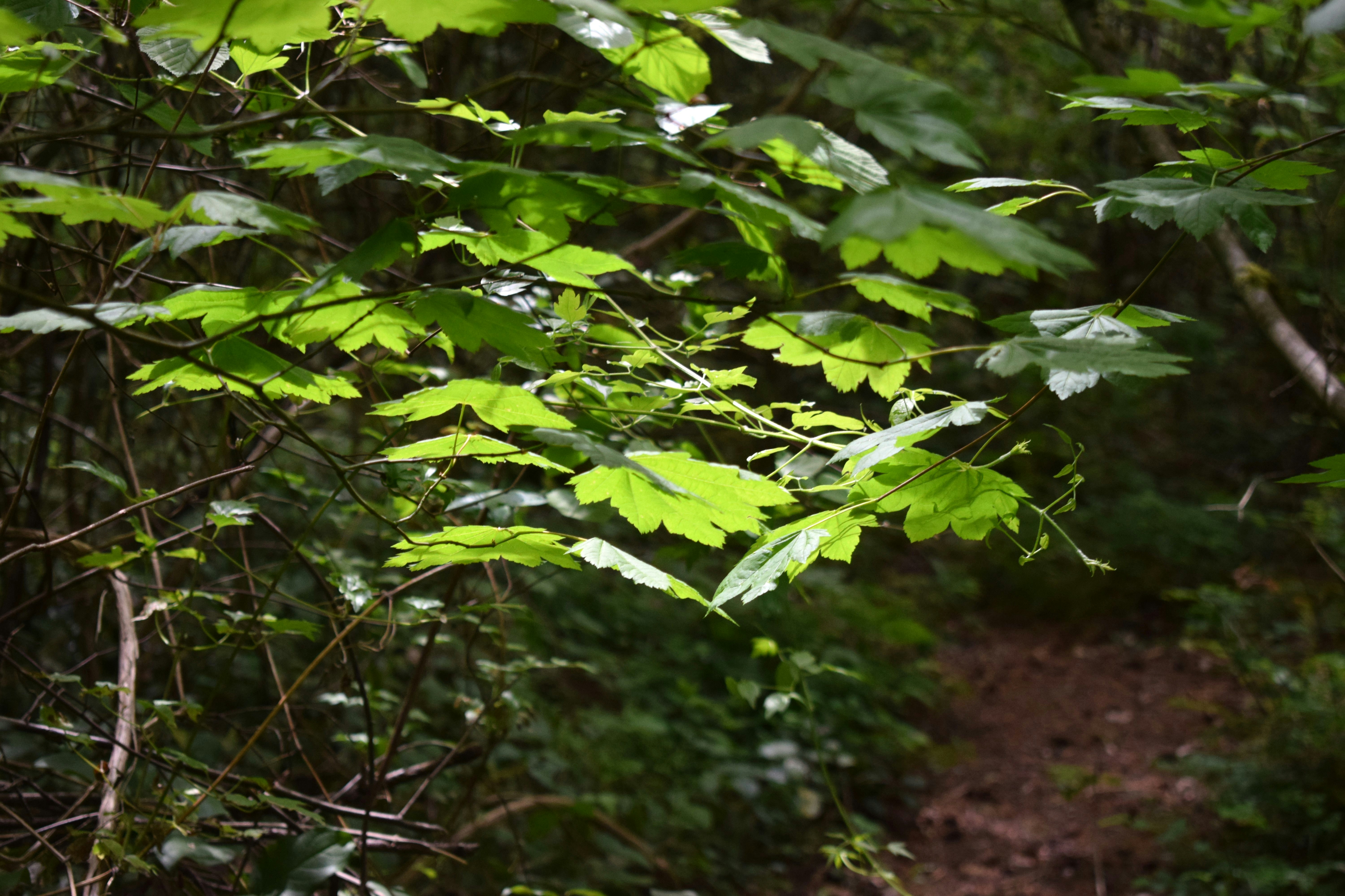 Photo by fr0ggy5_fr0ggy5