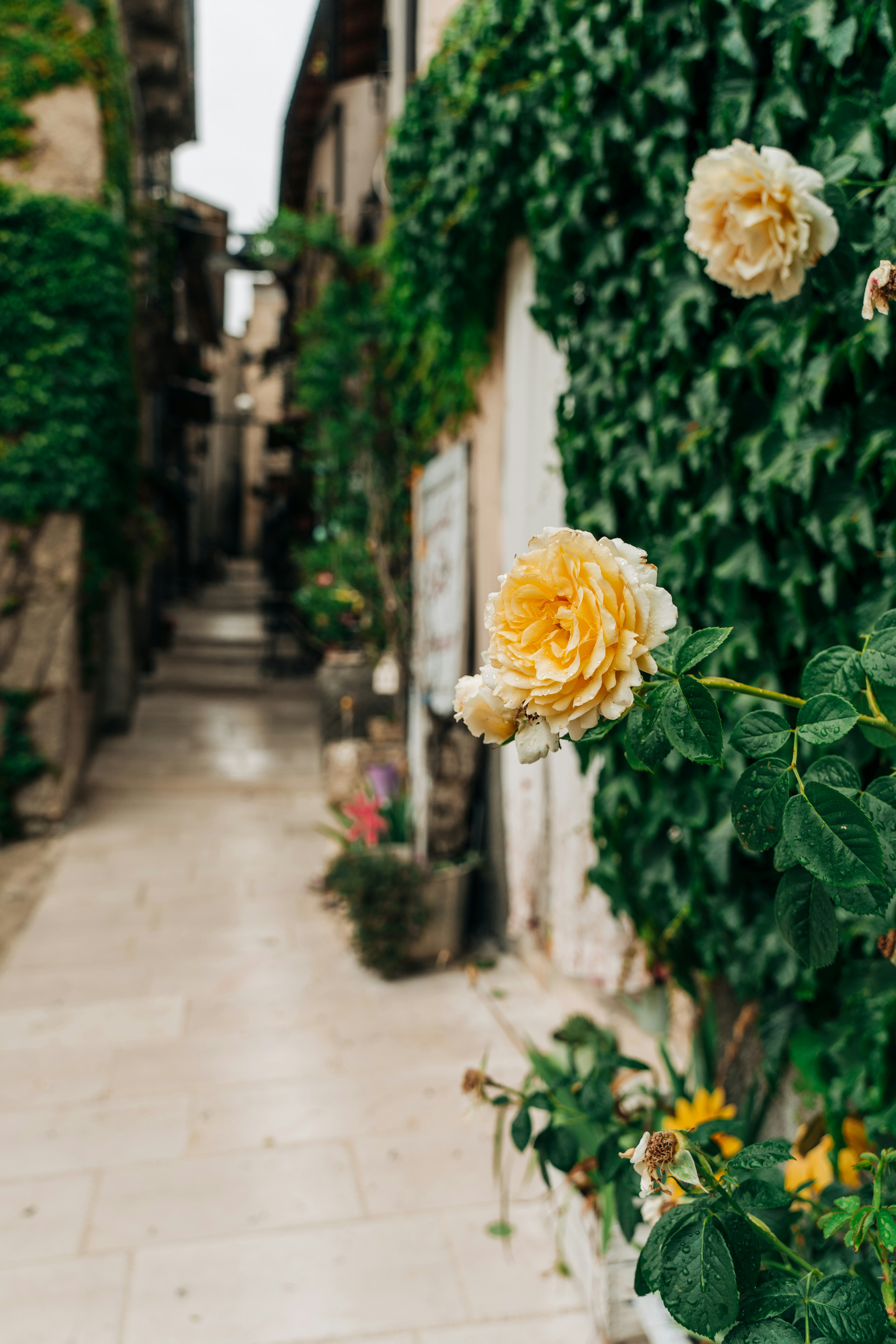 Photo by gabiontheroad