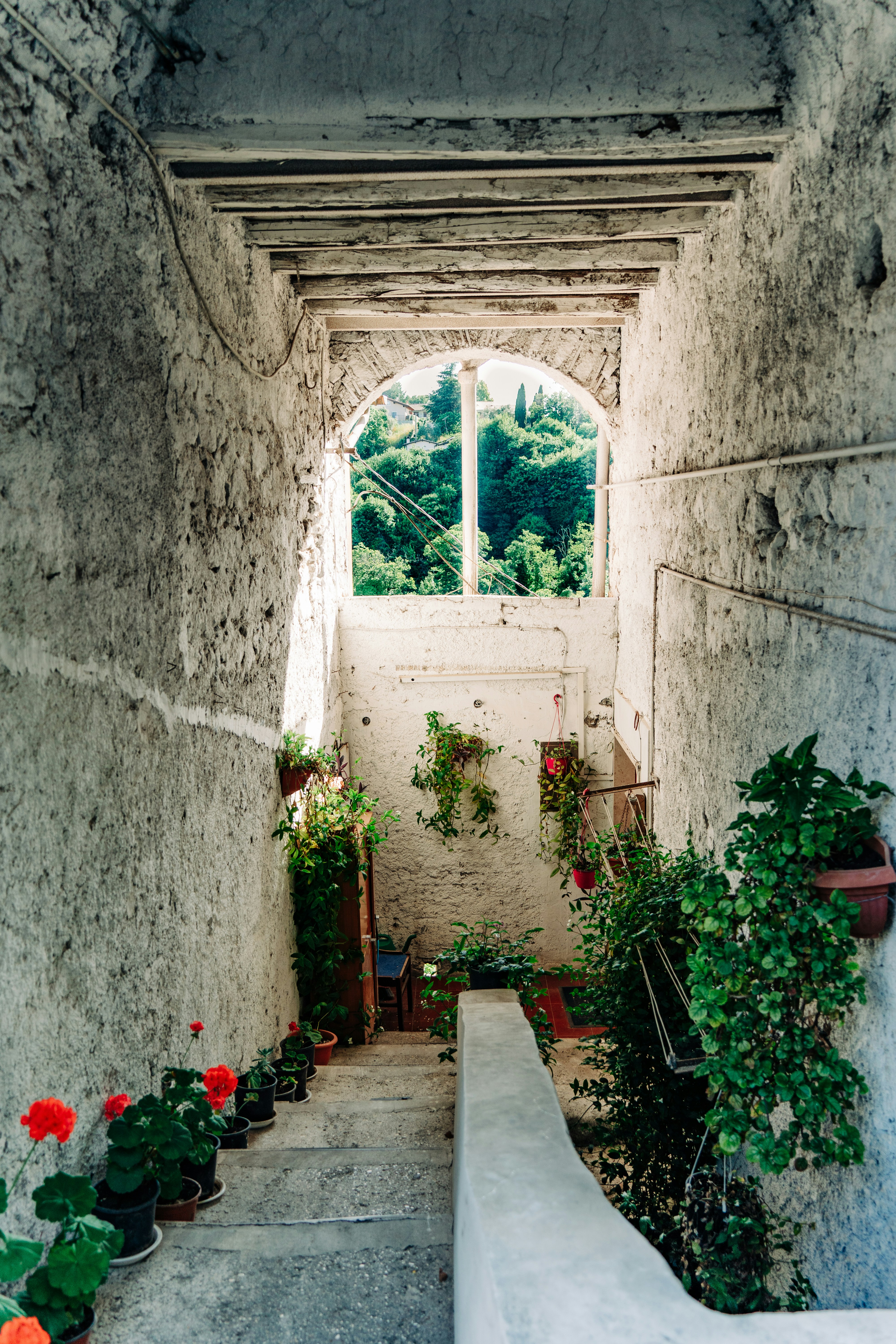 The entrance to a building in Zagarolo, Italy