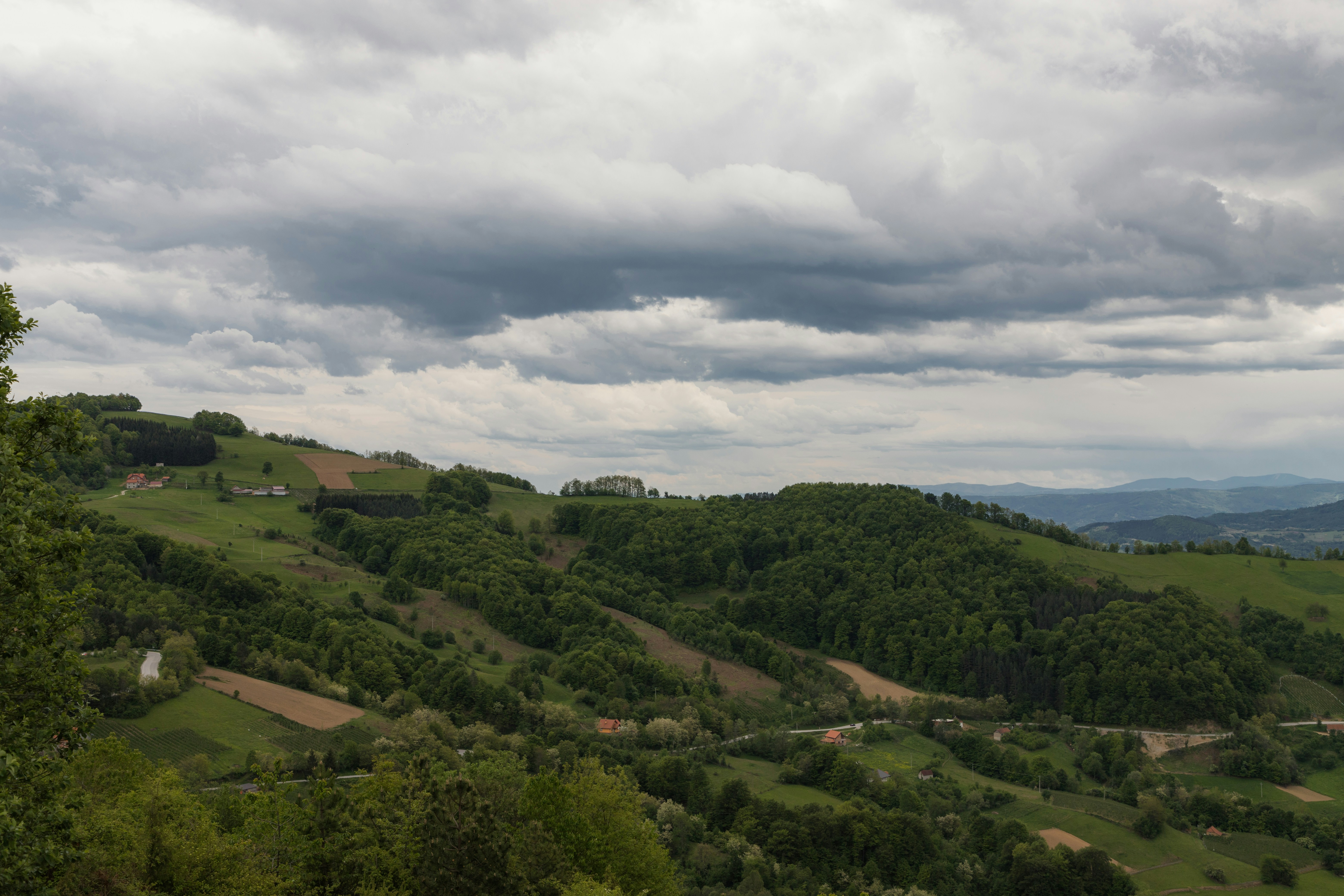 Photo by jovanvasiljevic