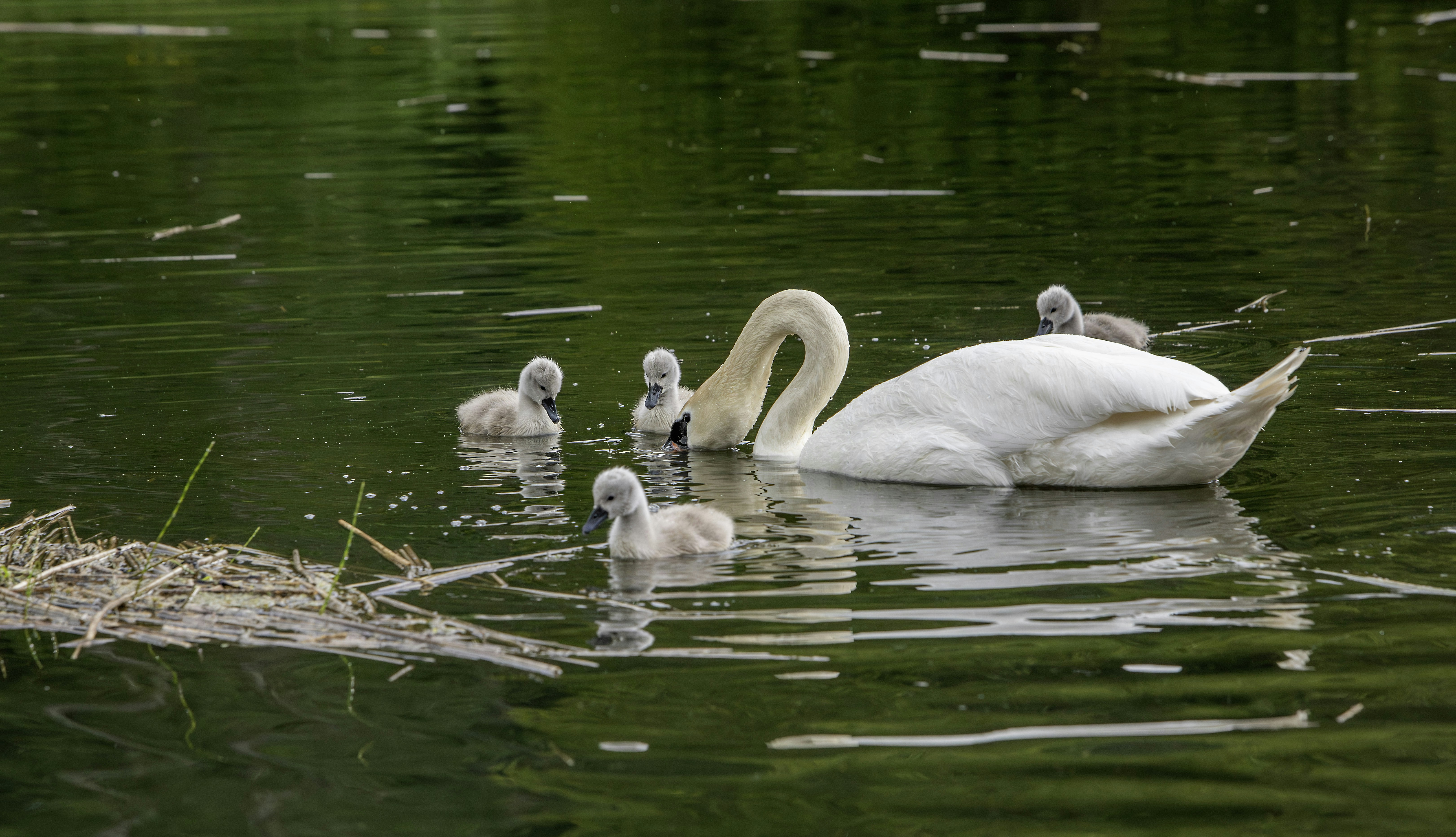 Photo by erik_karits