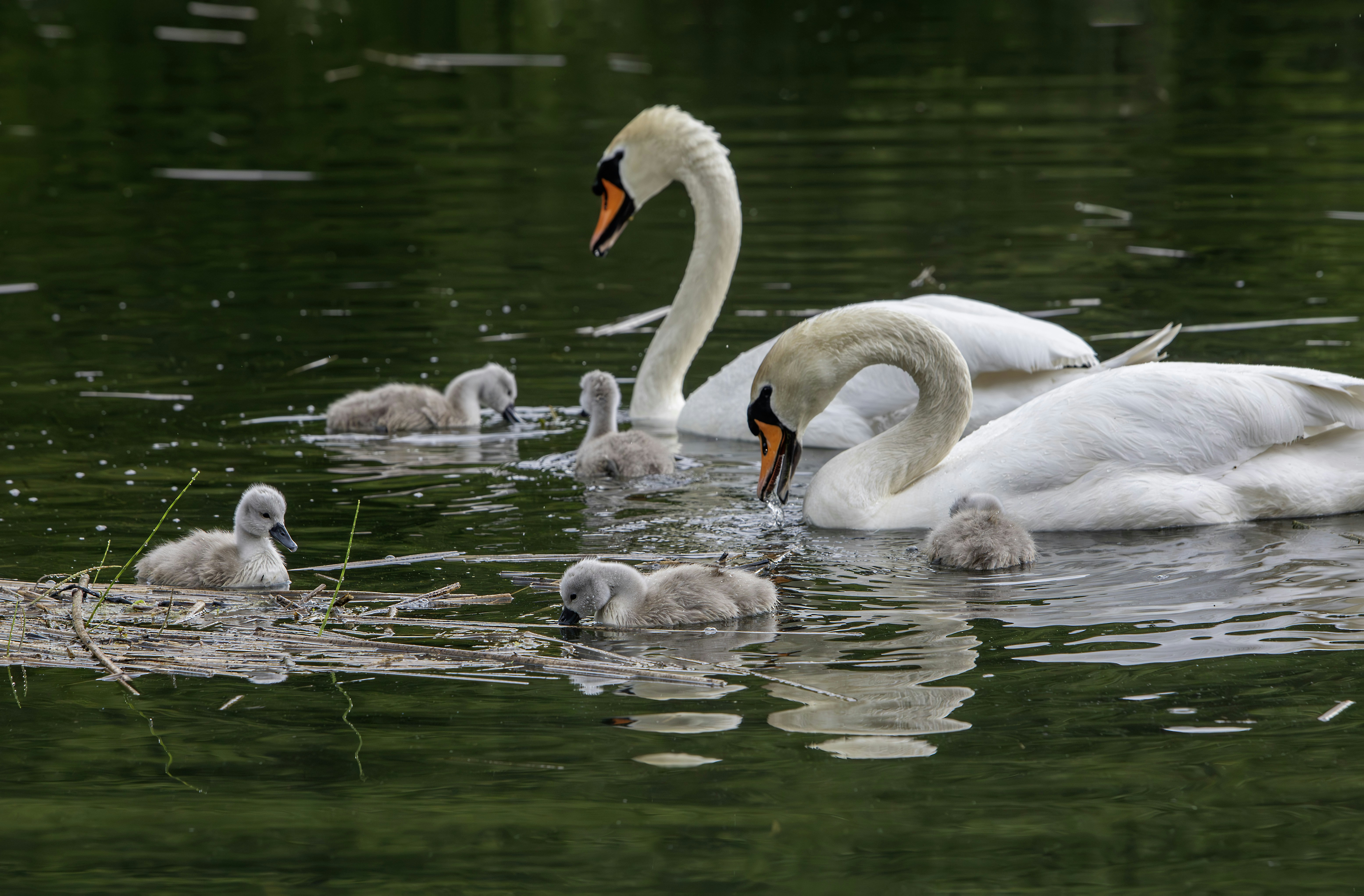 Photo by erik_karits