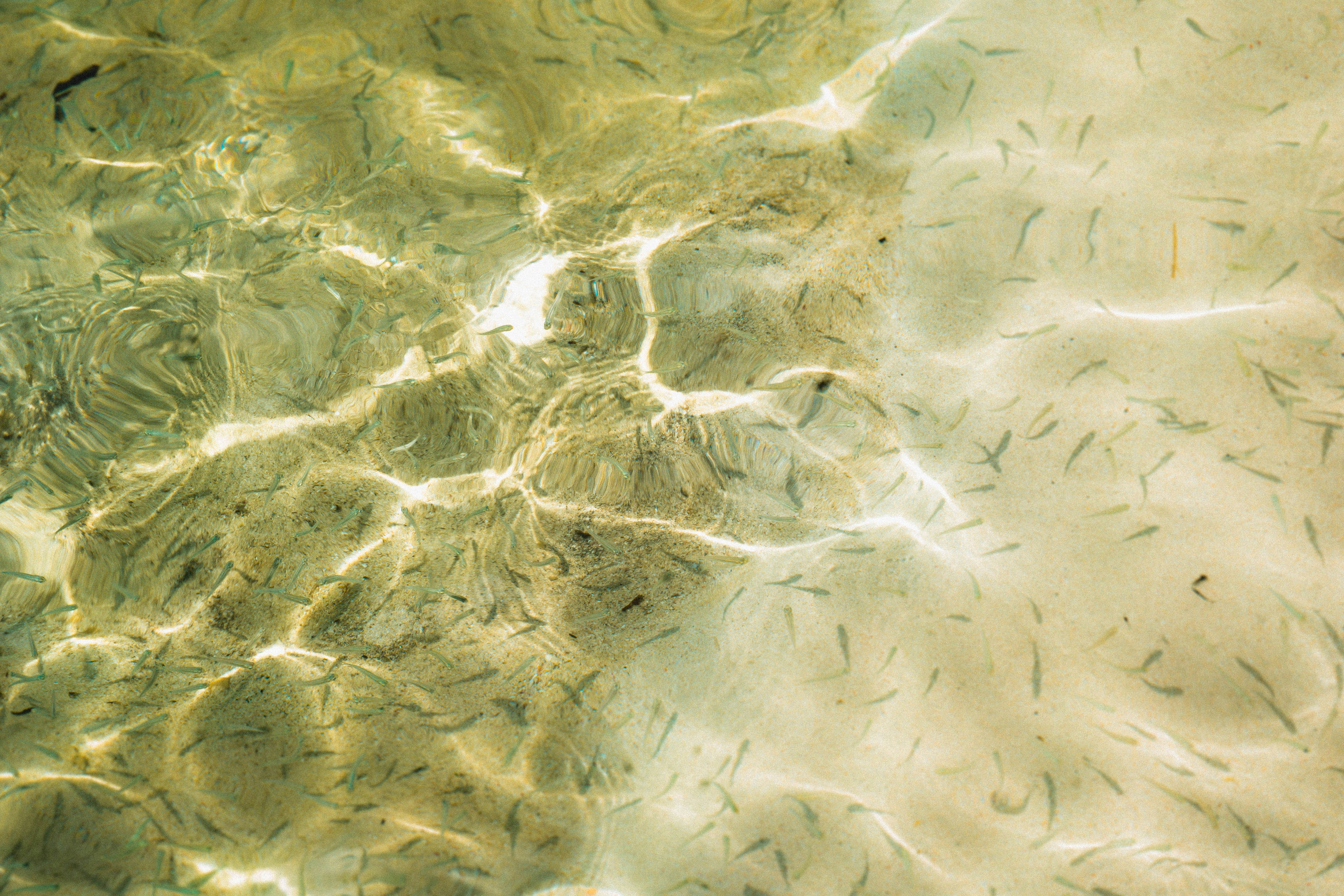 Photo by bjornpierre