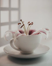 a white cup filled with flowers on top of a white plate