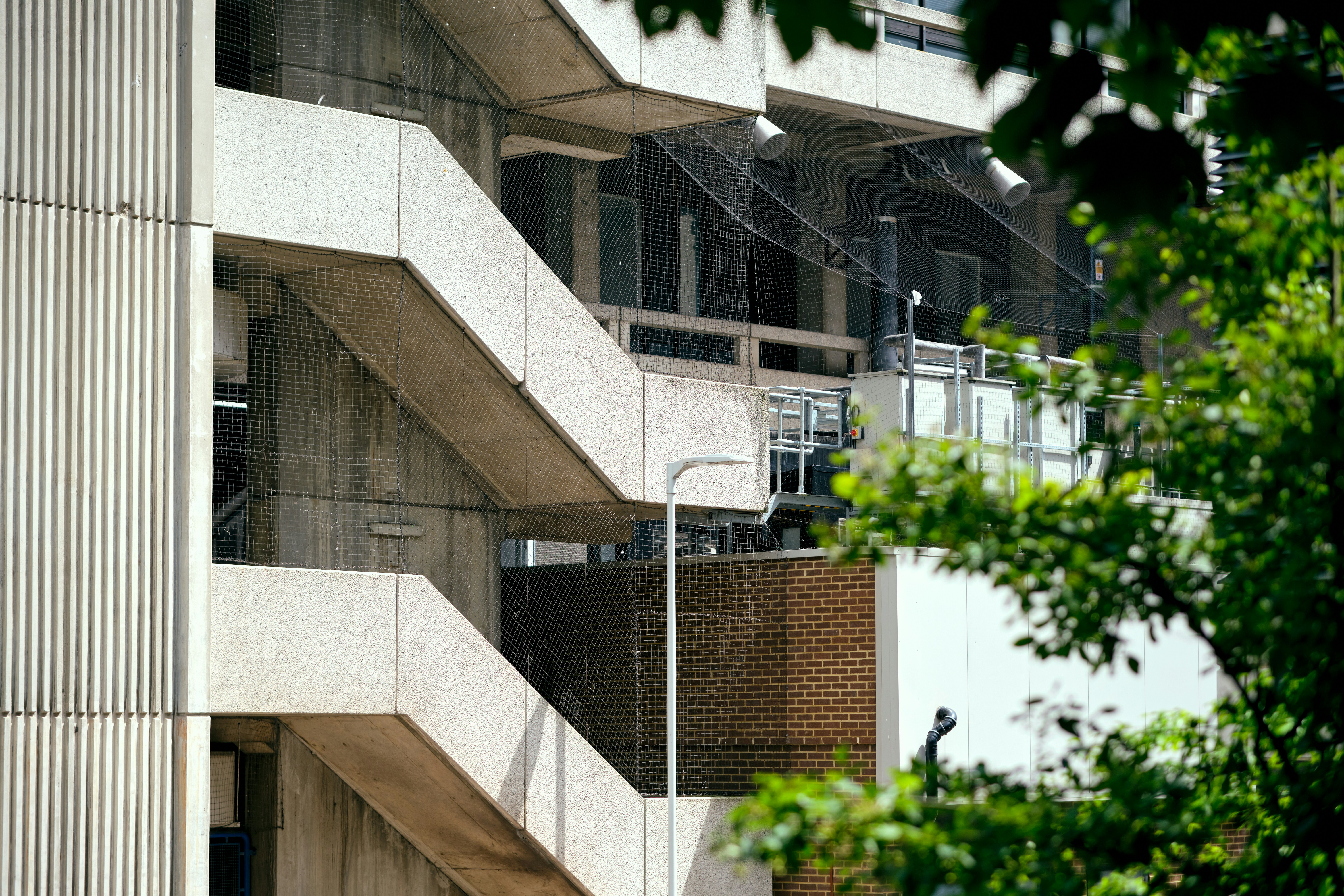 Photo by romanakash27