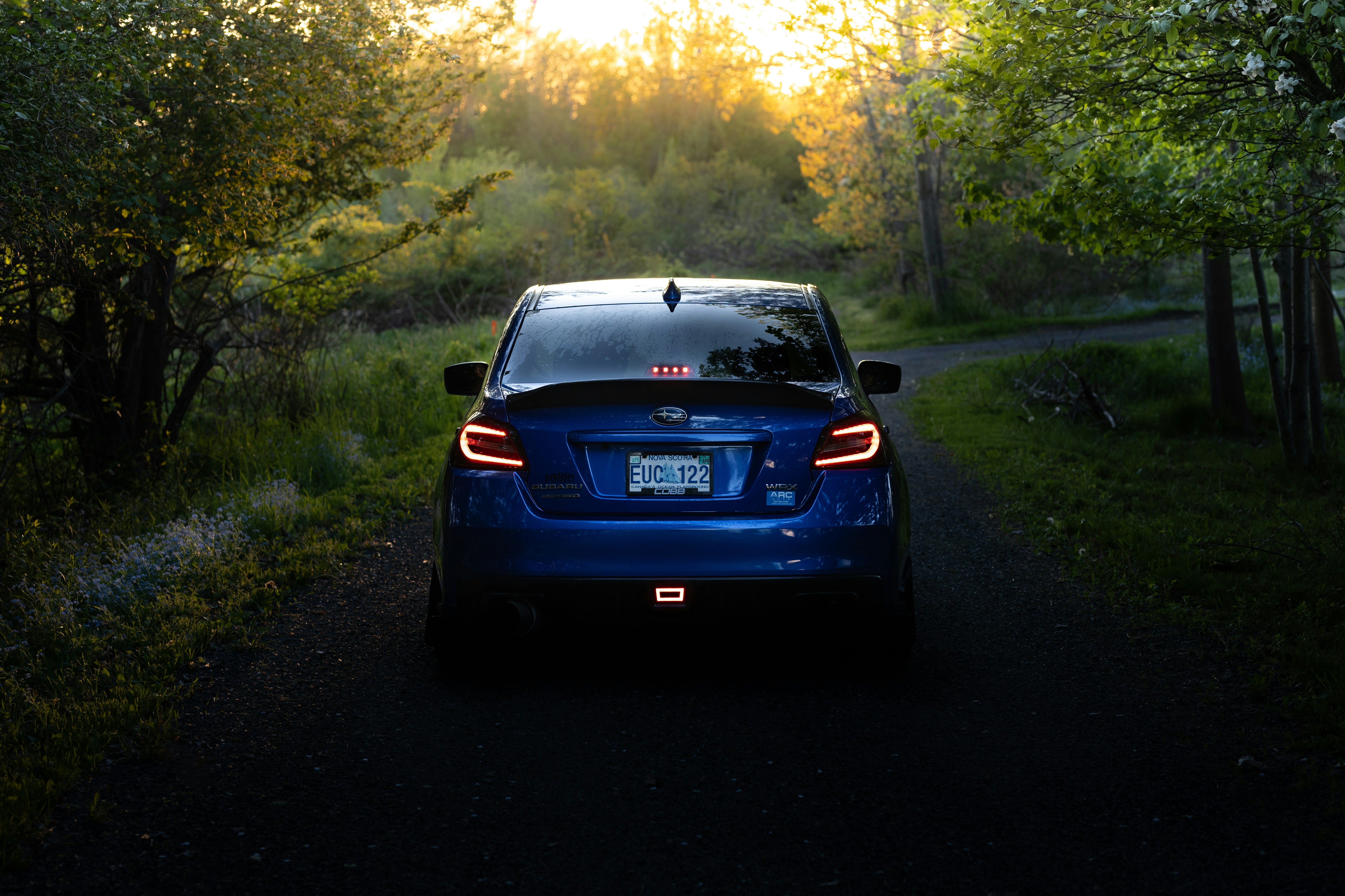 Photo by stevenrector