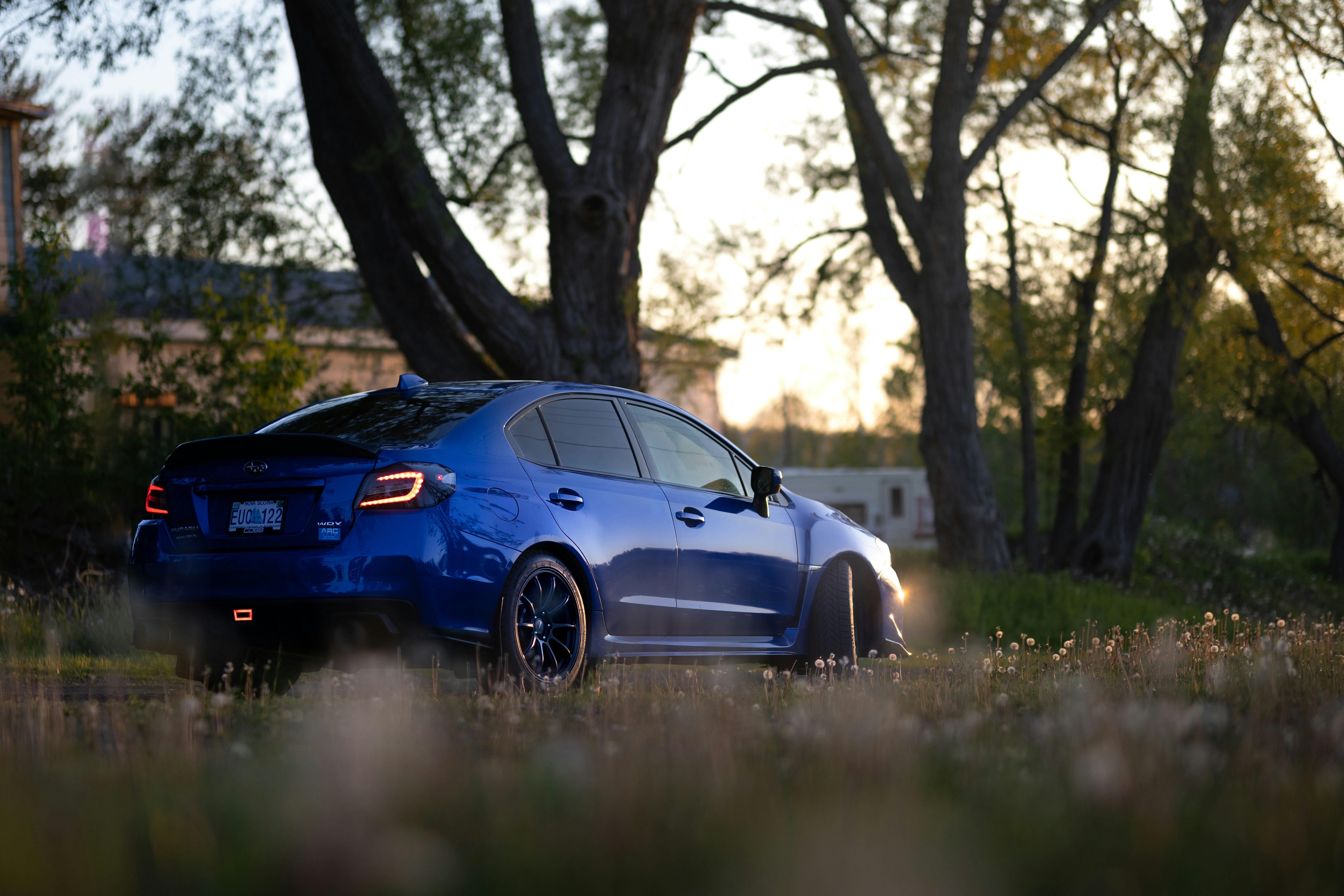 Photo by stevenrector