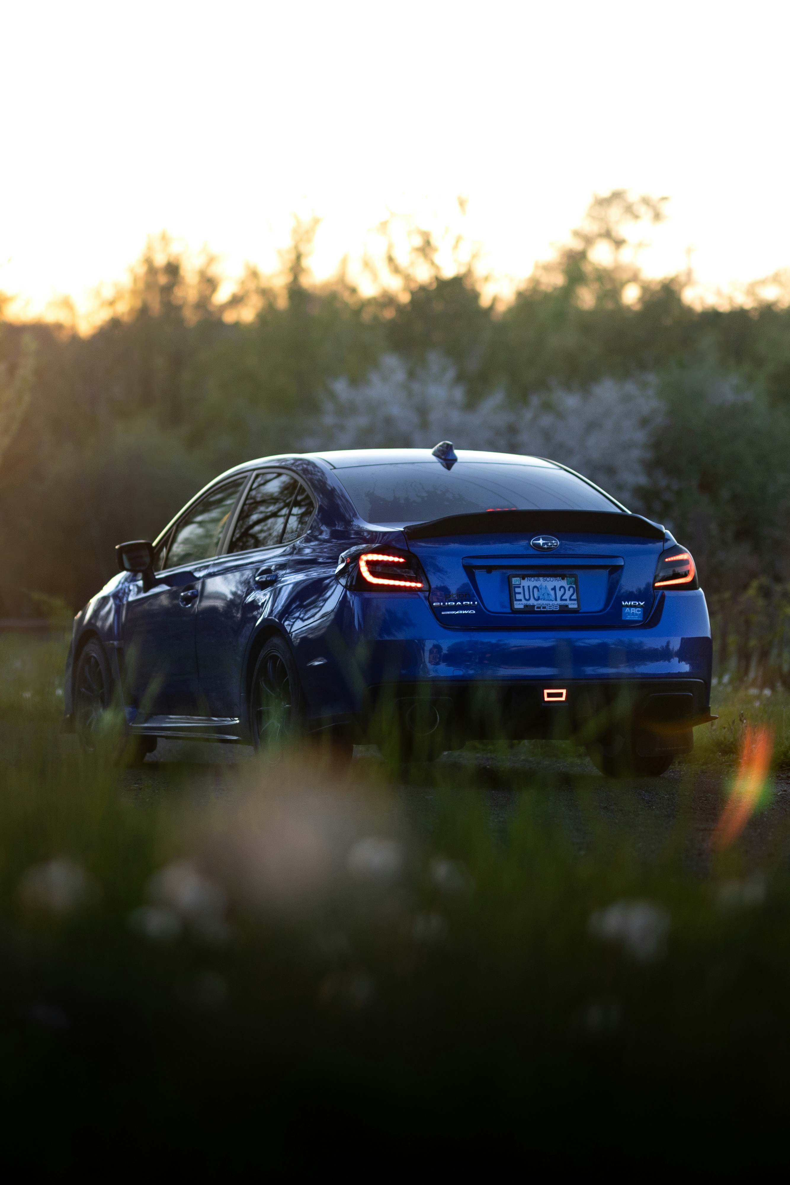 Photo by stevenrector