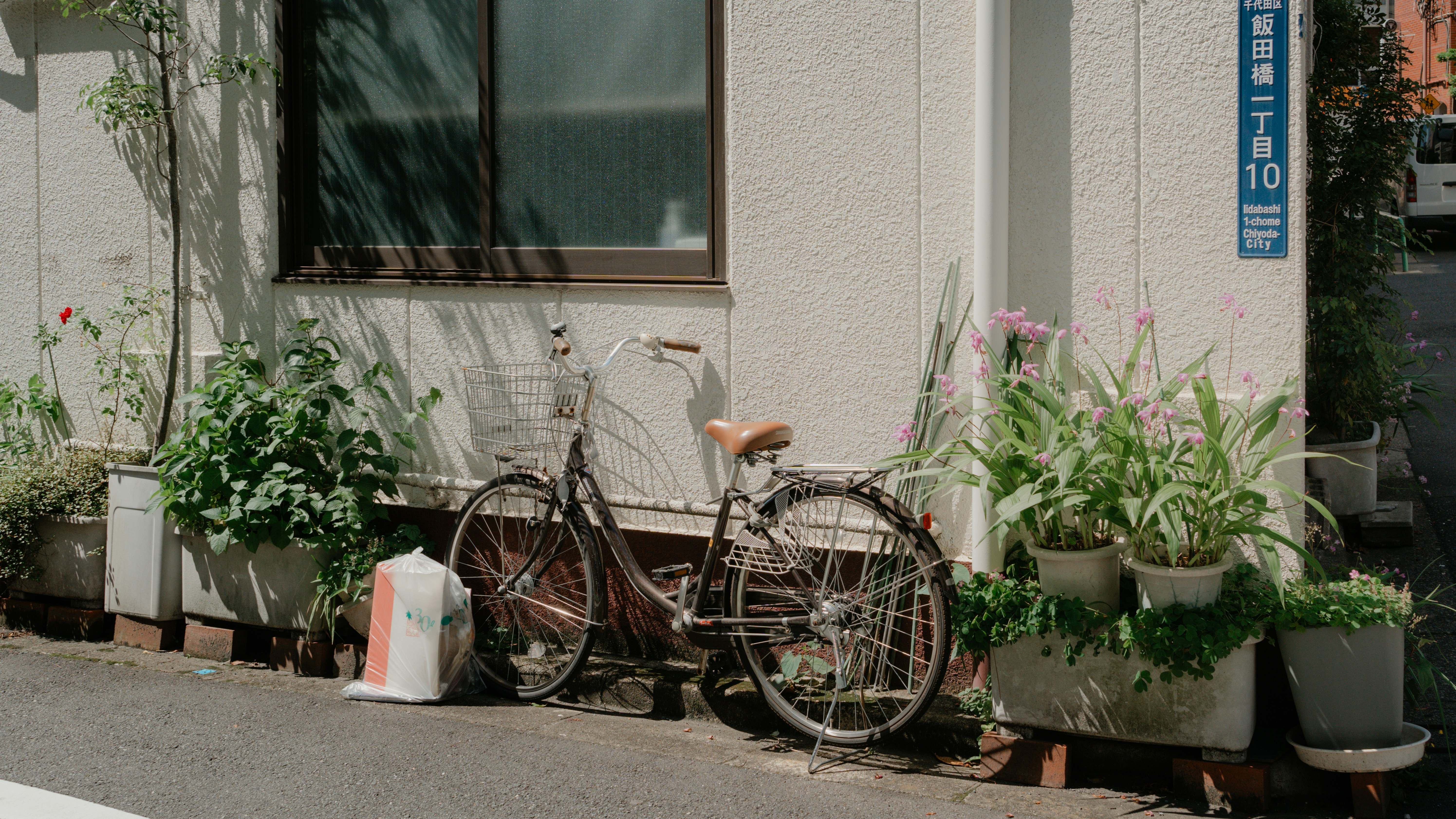 鉢植えの植物が置かれた建物の隣に駐輪する自転車