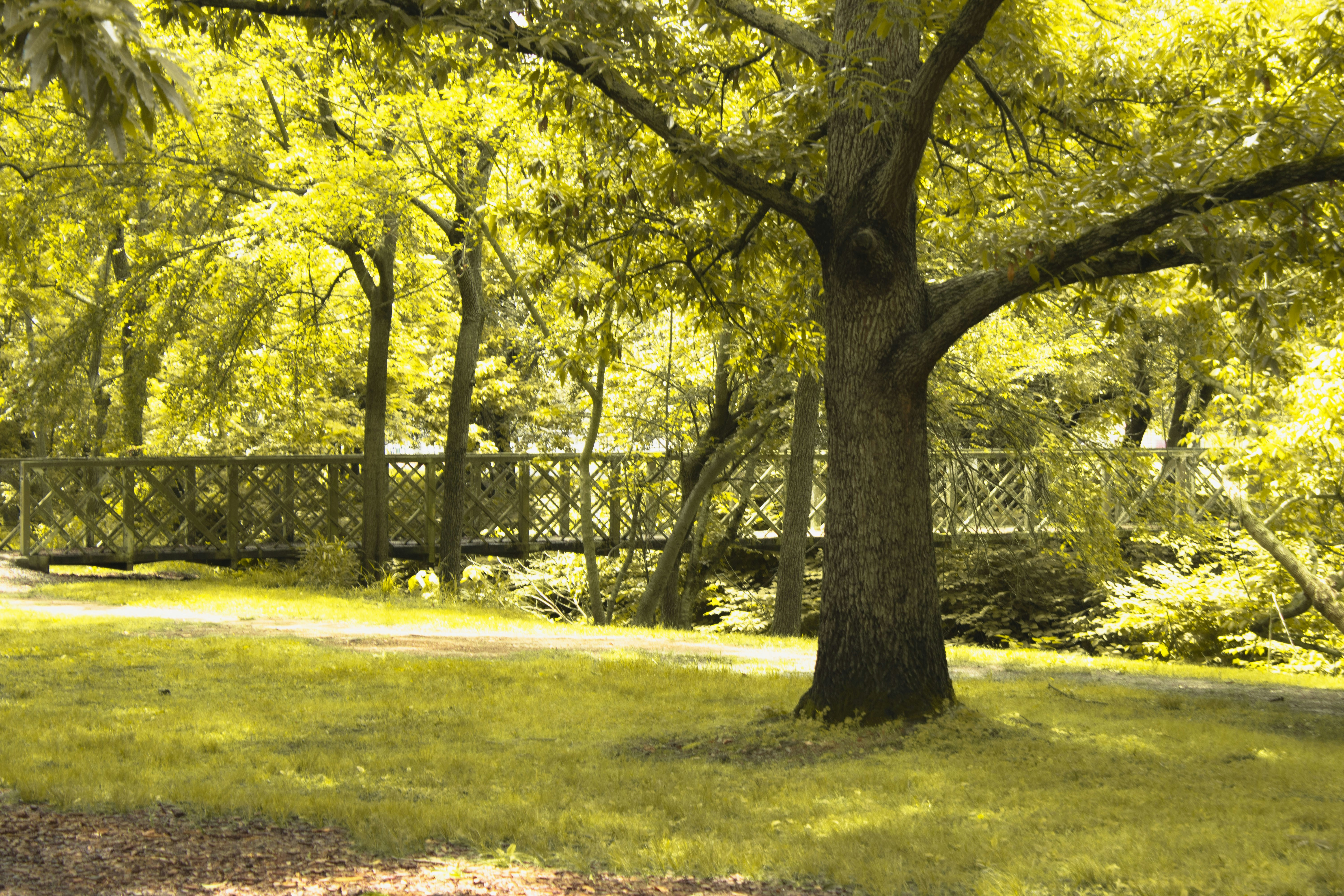 Photo by paigelaineelmer_photos