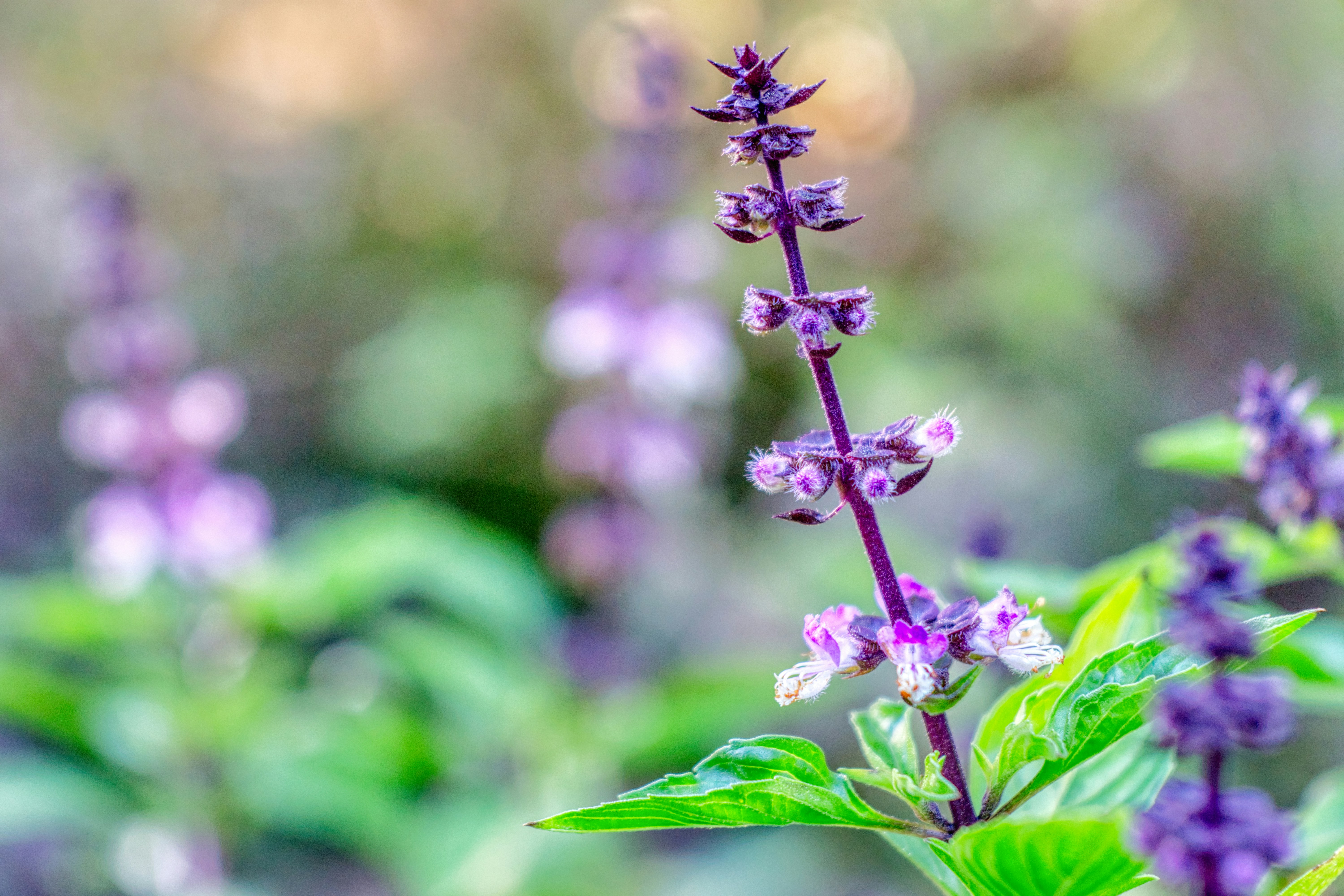 Photo by thomaskinto