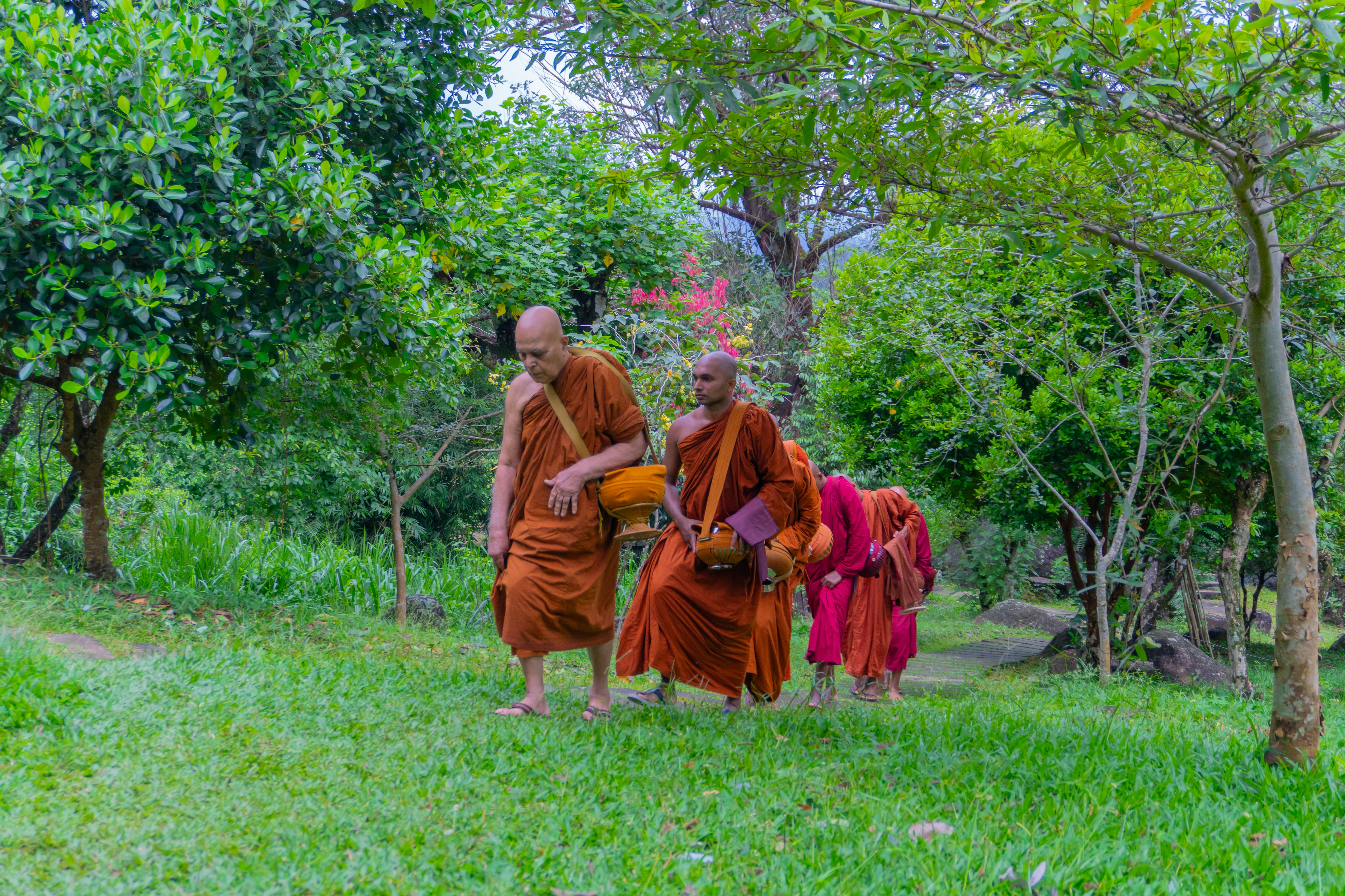 a group of monks walking through a lush green field