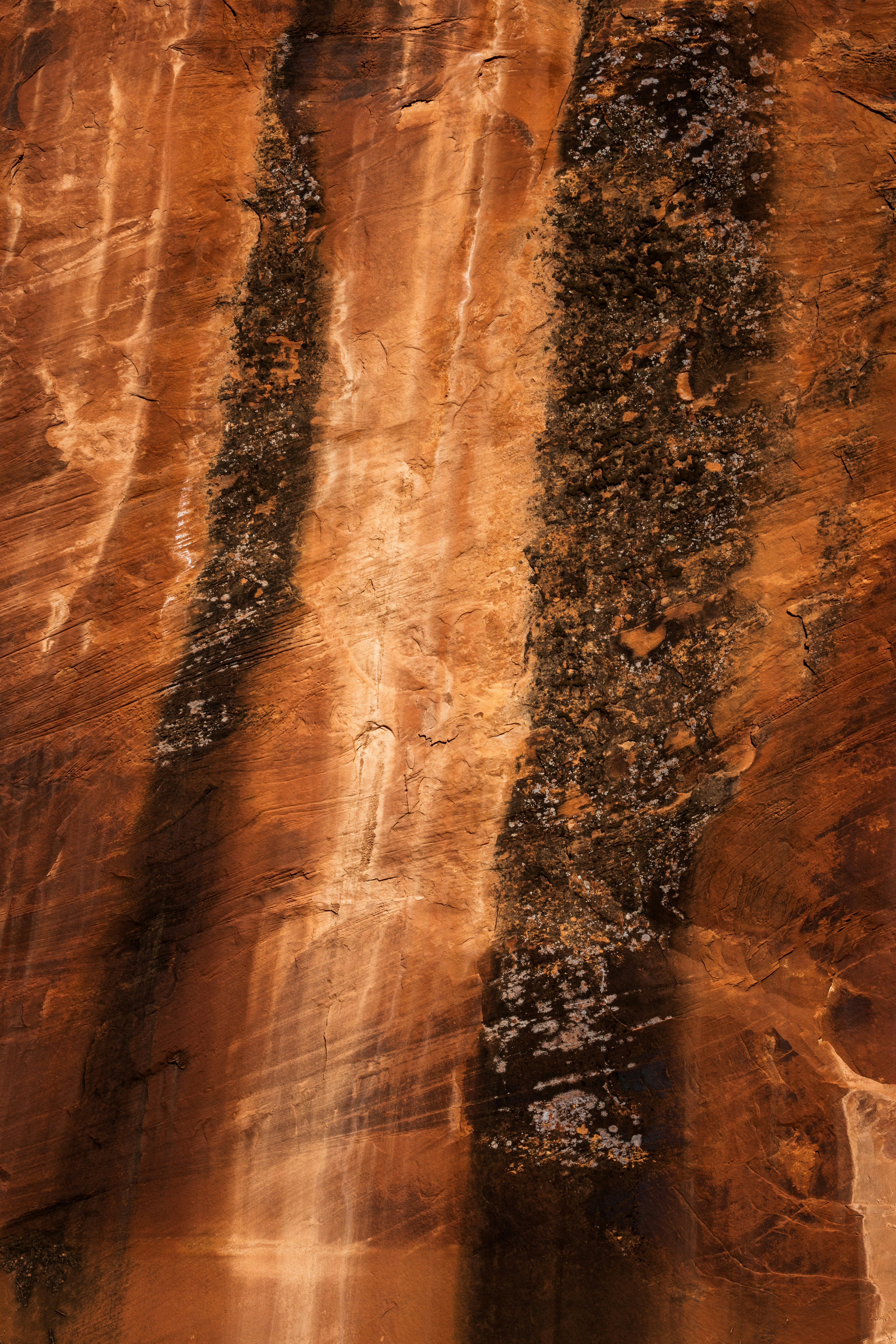 Photo by brandonstoll